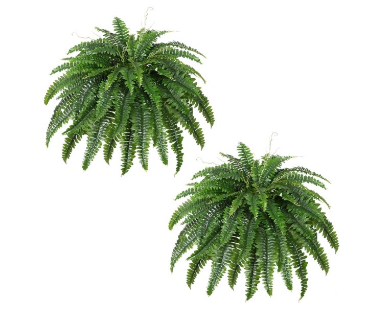 Artificial Boston Fern Bush- Set of 2 Large Artificial Ferns for Outdoors, 45Inch Large Faux Ferns, Suitable for Office & Living Room Decor, 55Branches for Each Bouquet