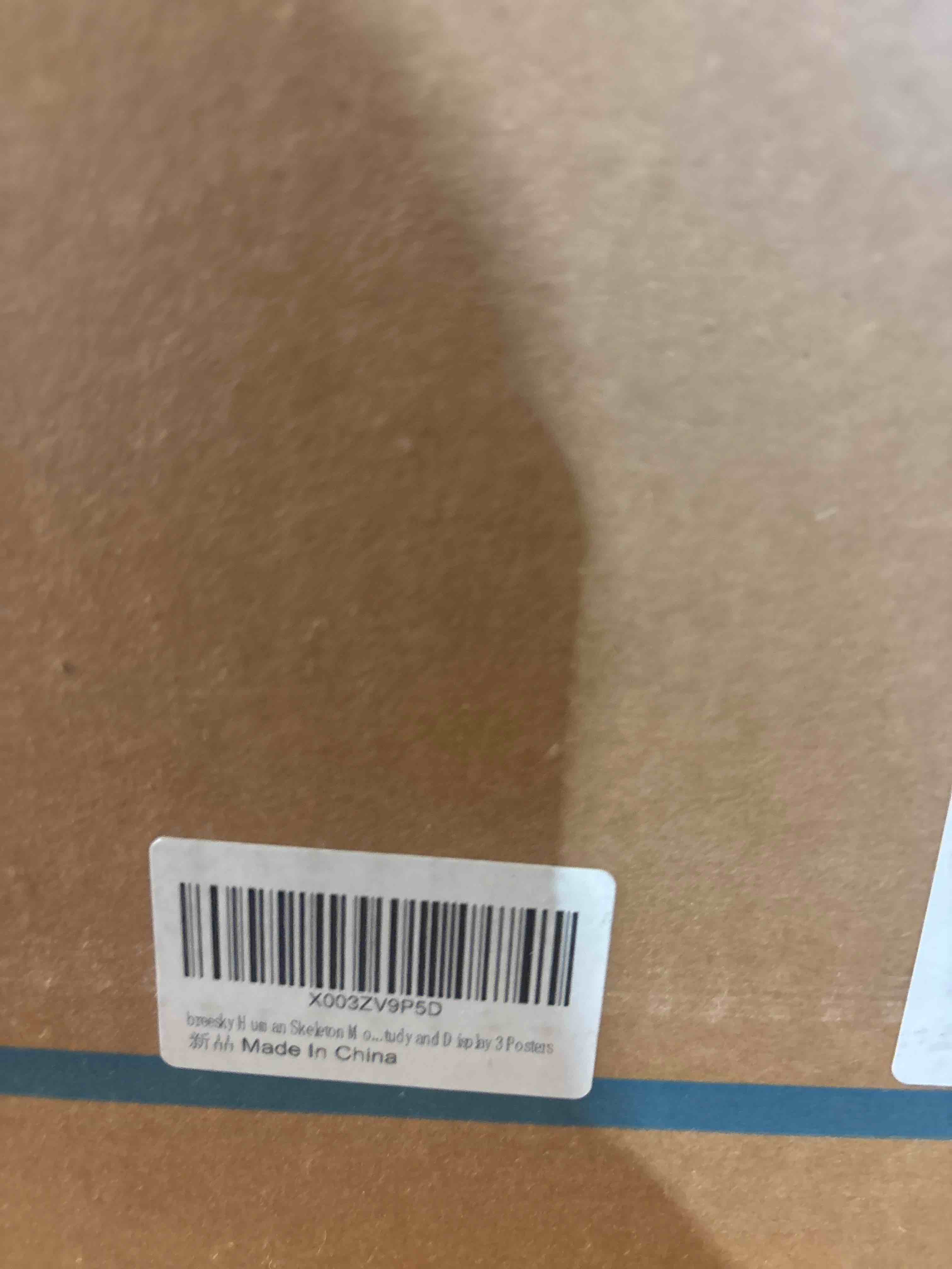 https://s3.amazonaws.com/lotting-images-prod/phillipi/BRN1938954_1742236013377.jpeg