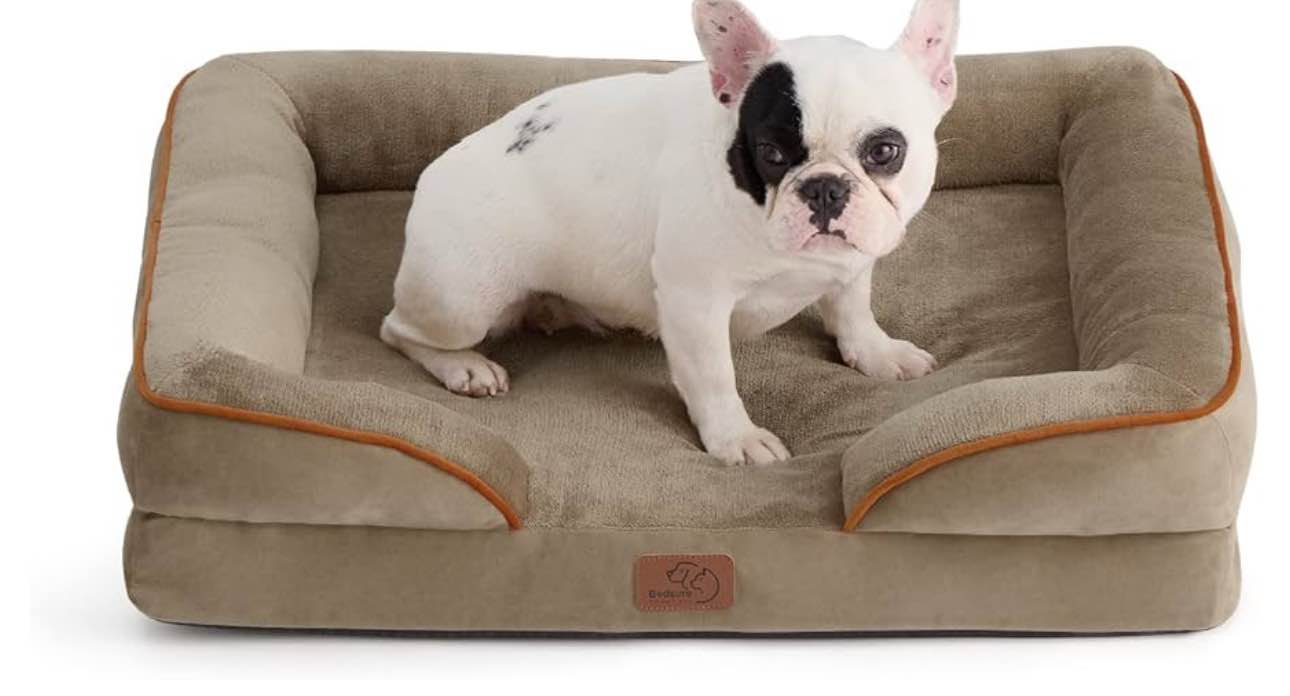 Bedsure Orthopedic Dog Bed for Medium Dogs - Waterproof Dog Sofa Beds Medium, Supportive Foam Pet Couch Bed with Removable Washable Cover, Waterproof Lining and Nonskid Bottom, Hazel 