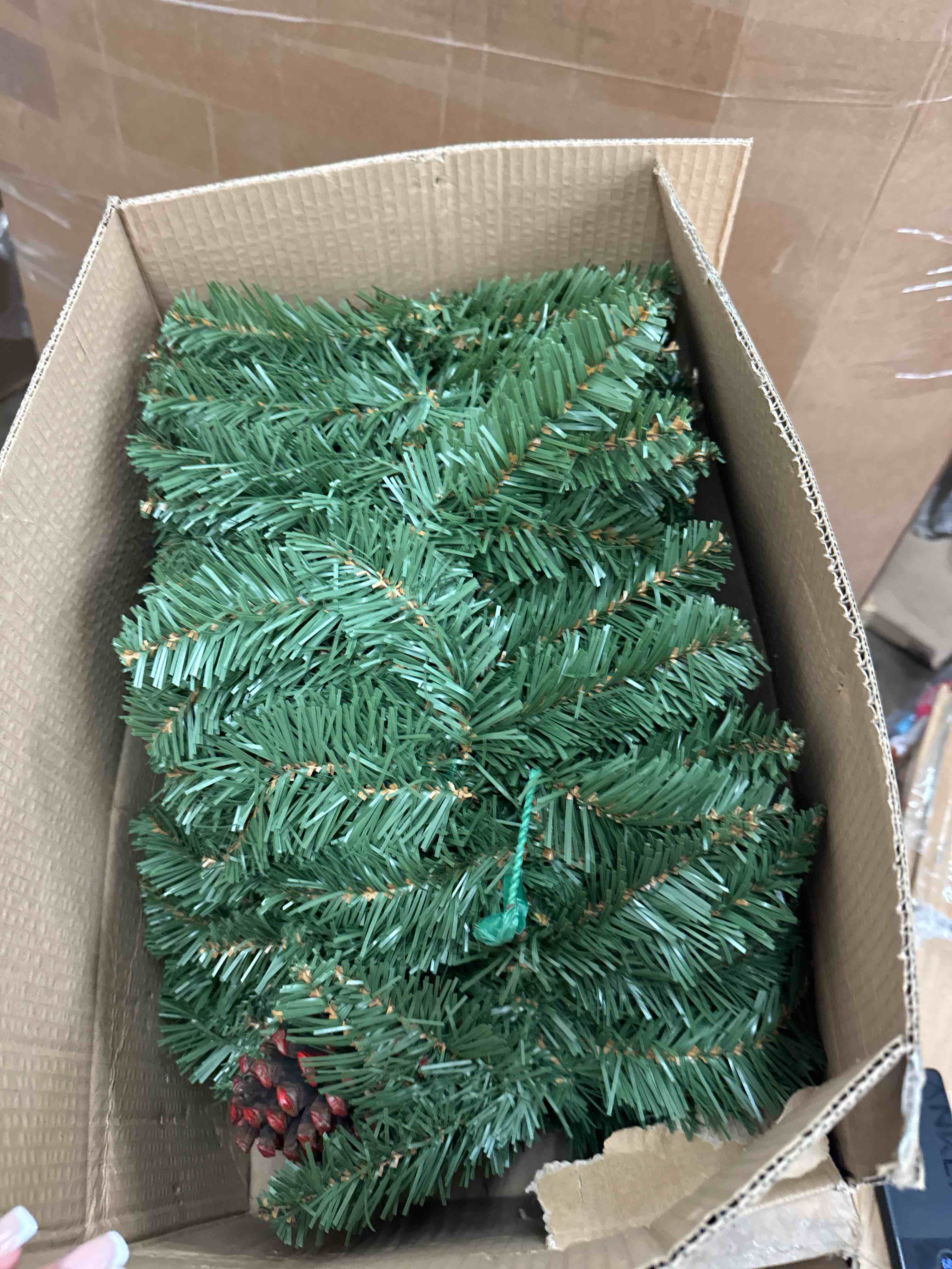 https://s3.amazonaws.com/lotting-images-prod/phillipi/BRN1941267_1746644783392.jpeg