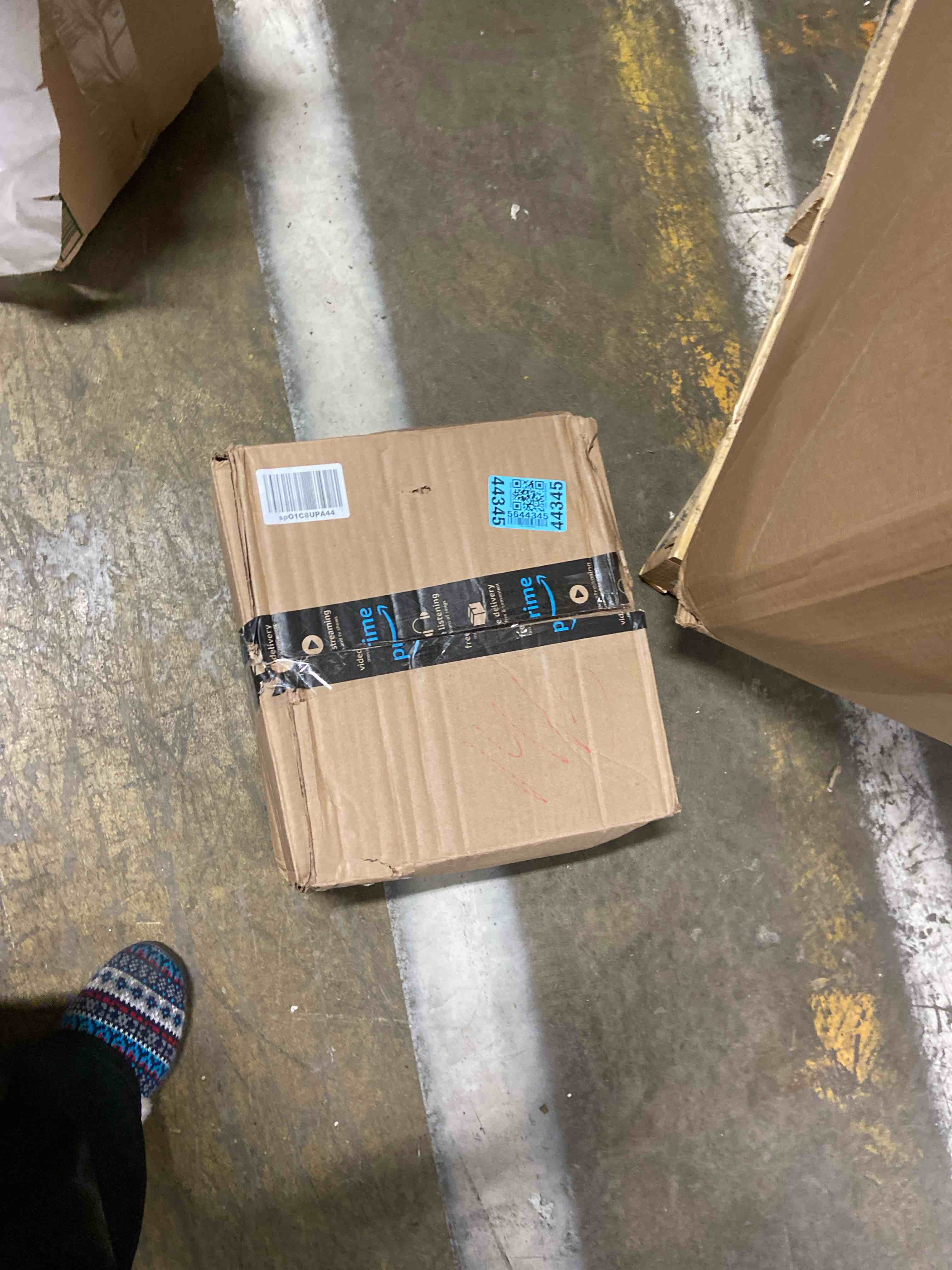 https://s3.amazonaws.com/lotting-images-prod/phillipi/BRN1942292_1757435910038.jpeg