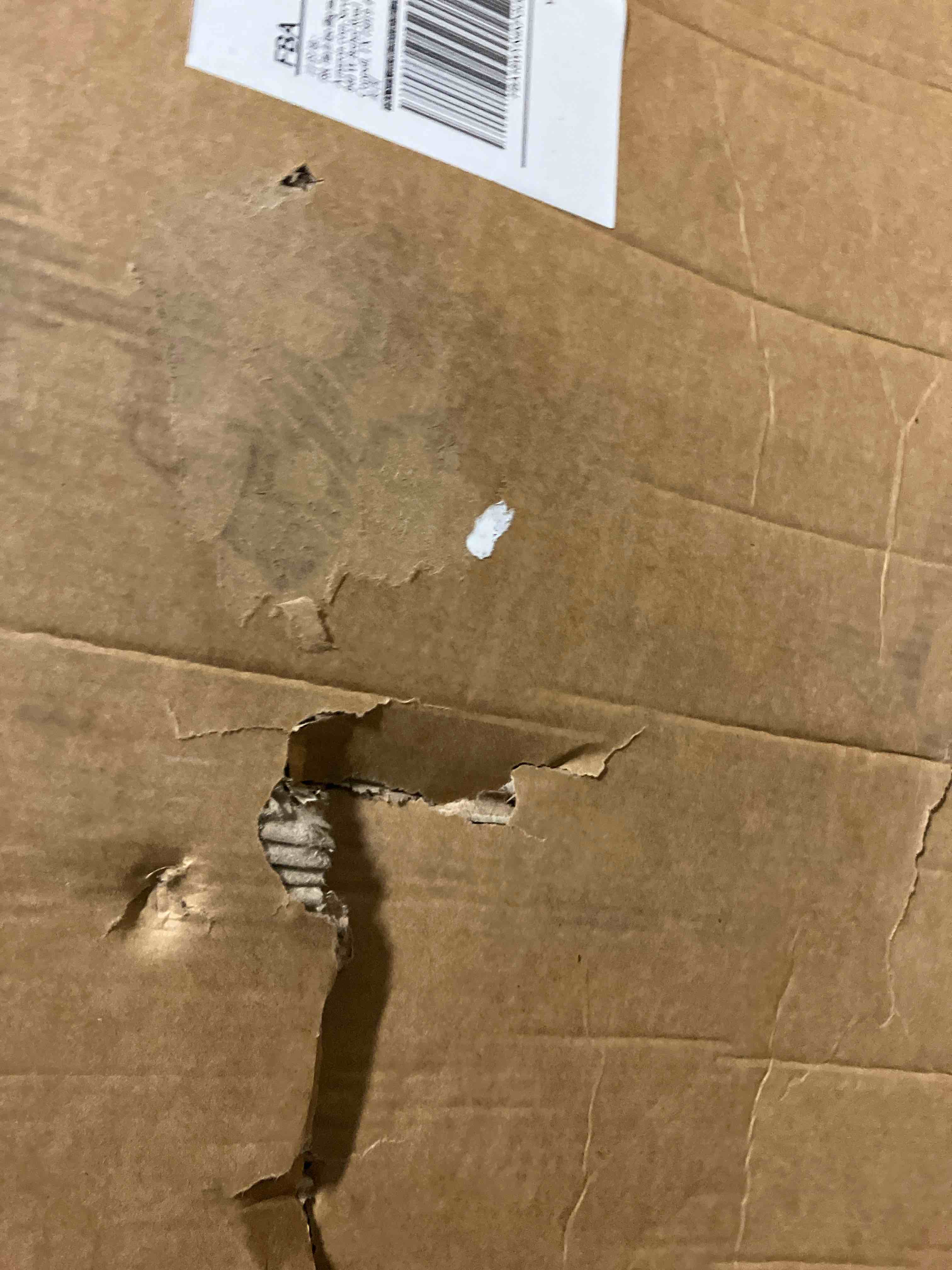 https://s3.amazonaws.com/lotting-images-prod/phillipi/BRN1942658_1758137048150.jpeg