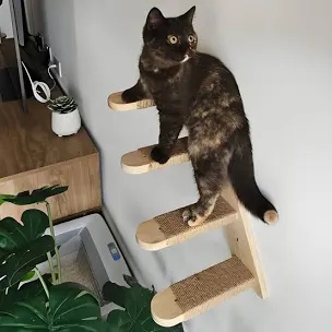 Cat Wall Mounted Shelf Steps