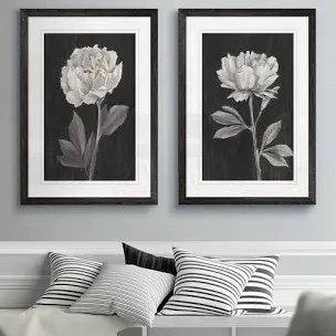 " Black And White Flowers III " 2 - Pieces