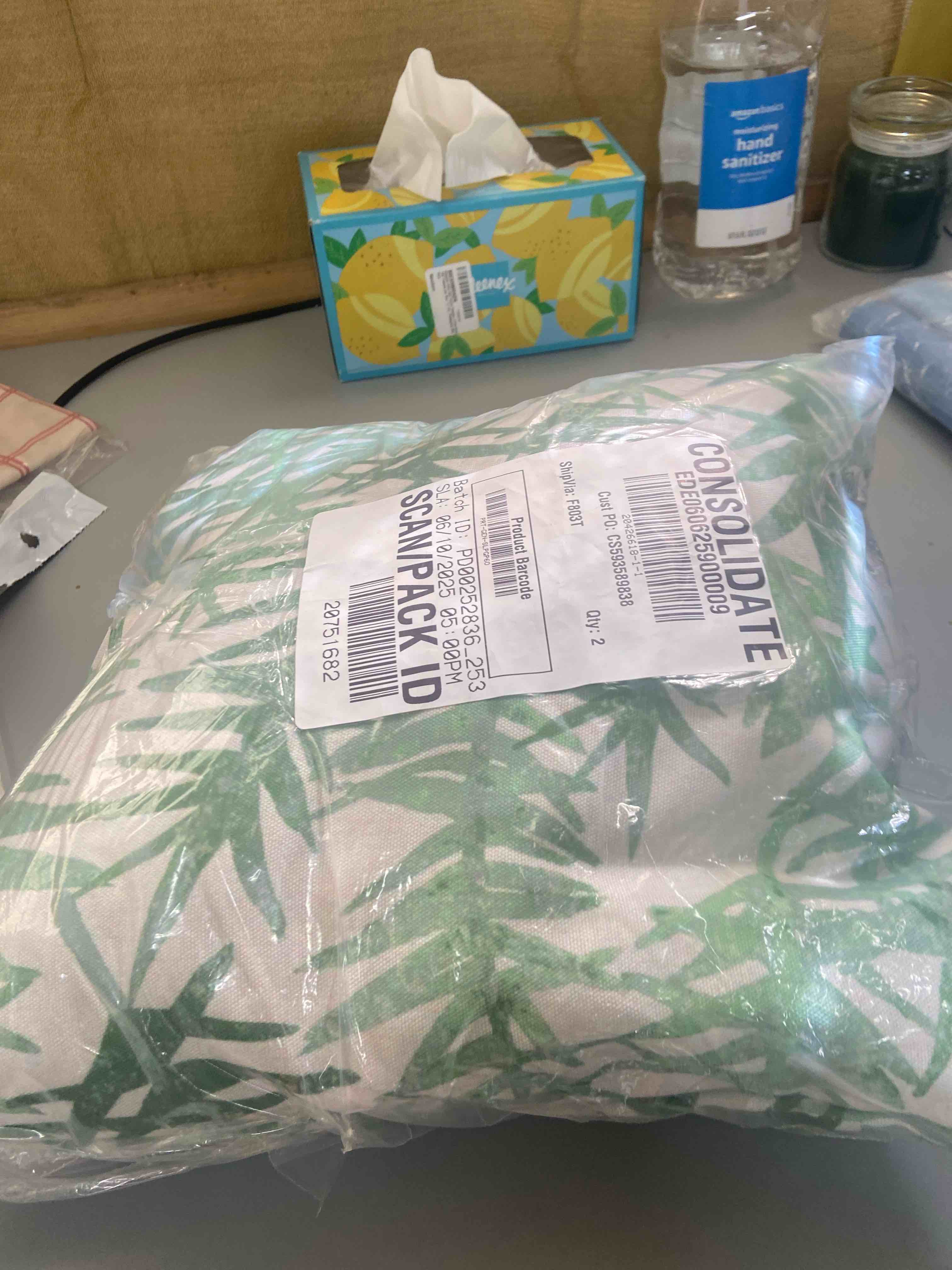 Condition photo showing New/Like New for 18 x 18 inch spikey floral print outdoor pillow