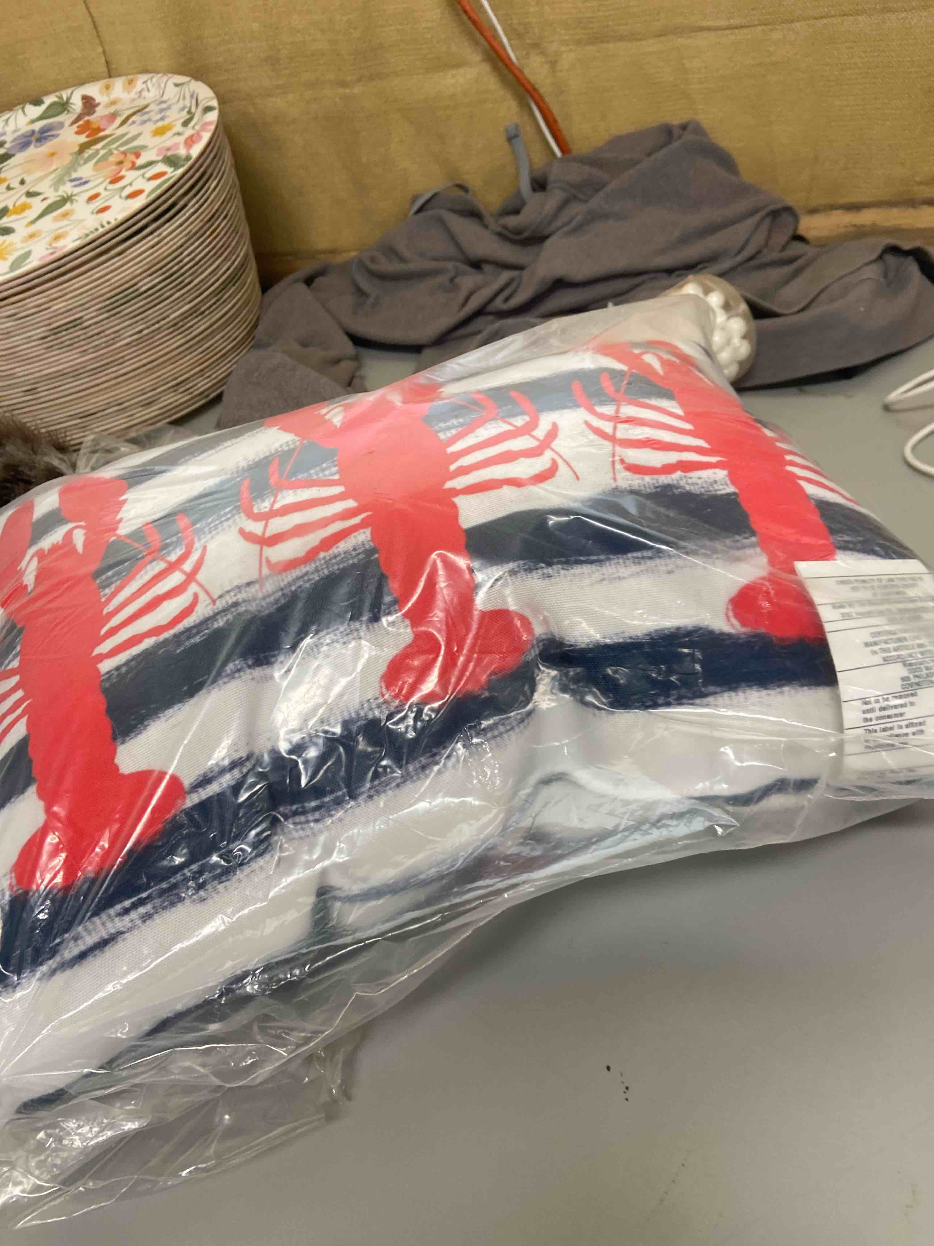 Condition photo showing New/Like New for indoor/outdoor throw pillow 