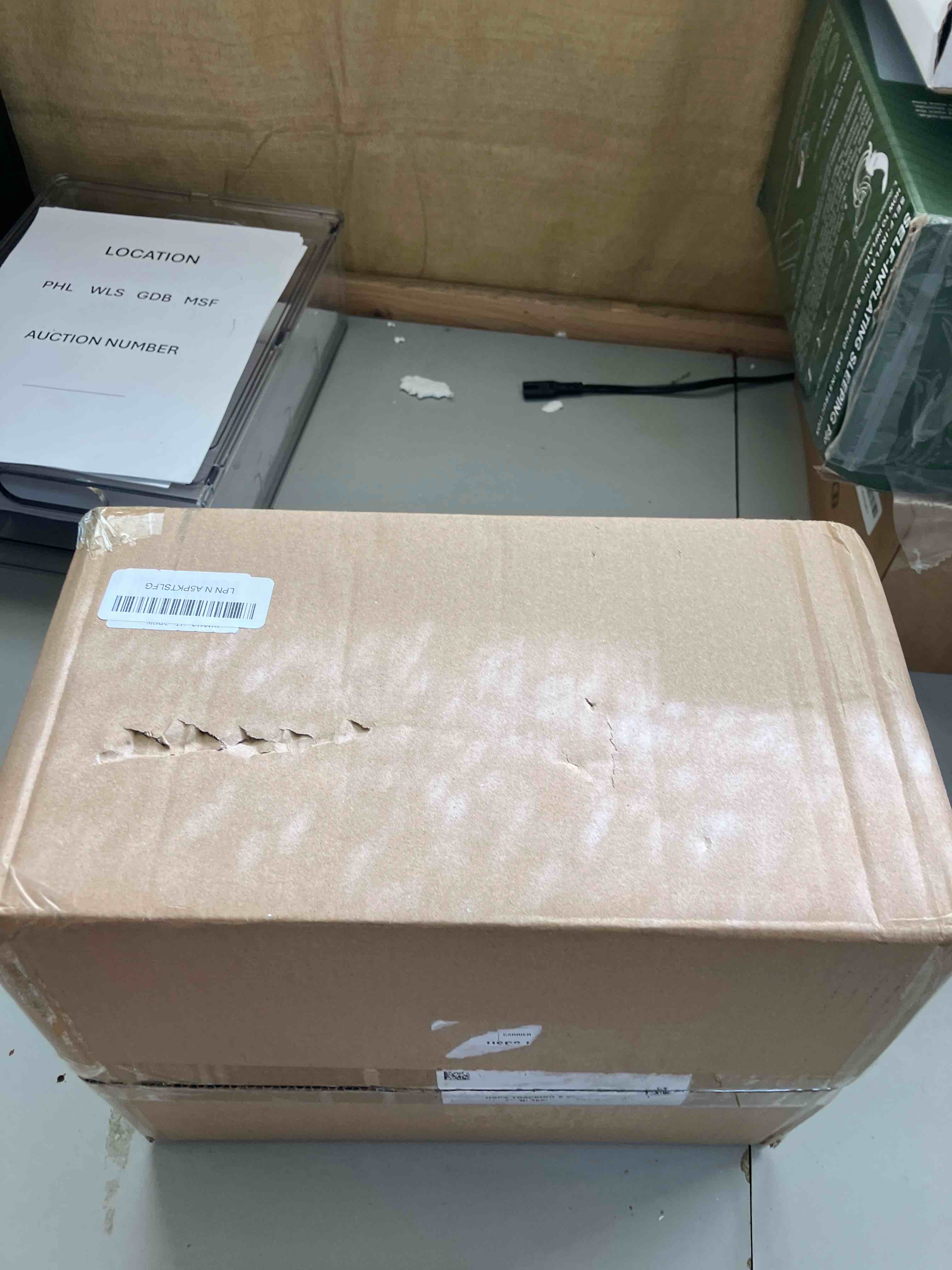 https://s3.amazonaws.com/lotting-images-prod/phillipi/BRN1953770_1744205801453.jpeg