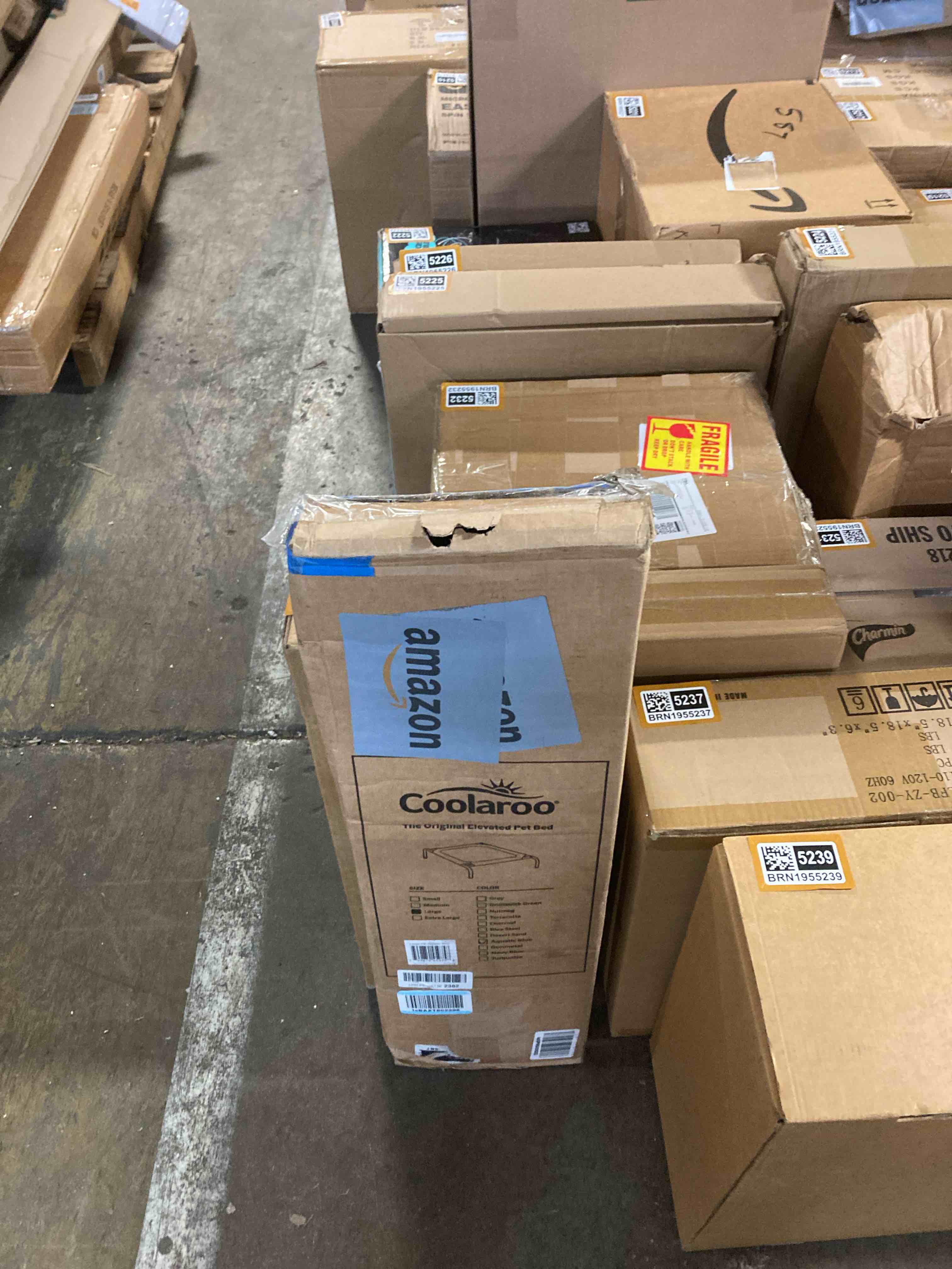 https://s3.amazonaws.com/lotting-images-prod/phillipi/BRN1955241_1756316147993.jpeg