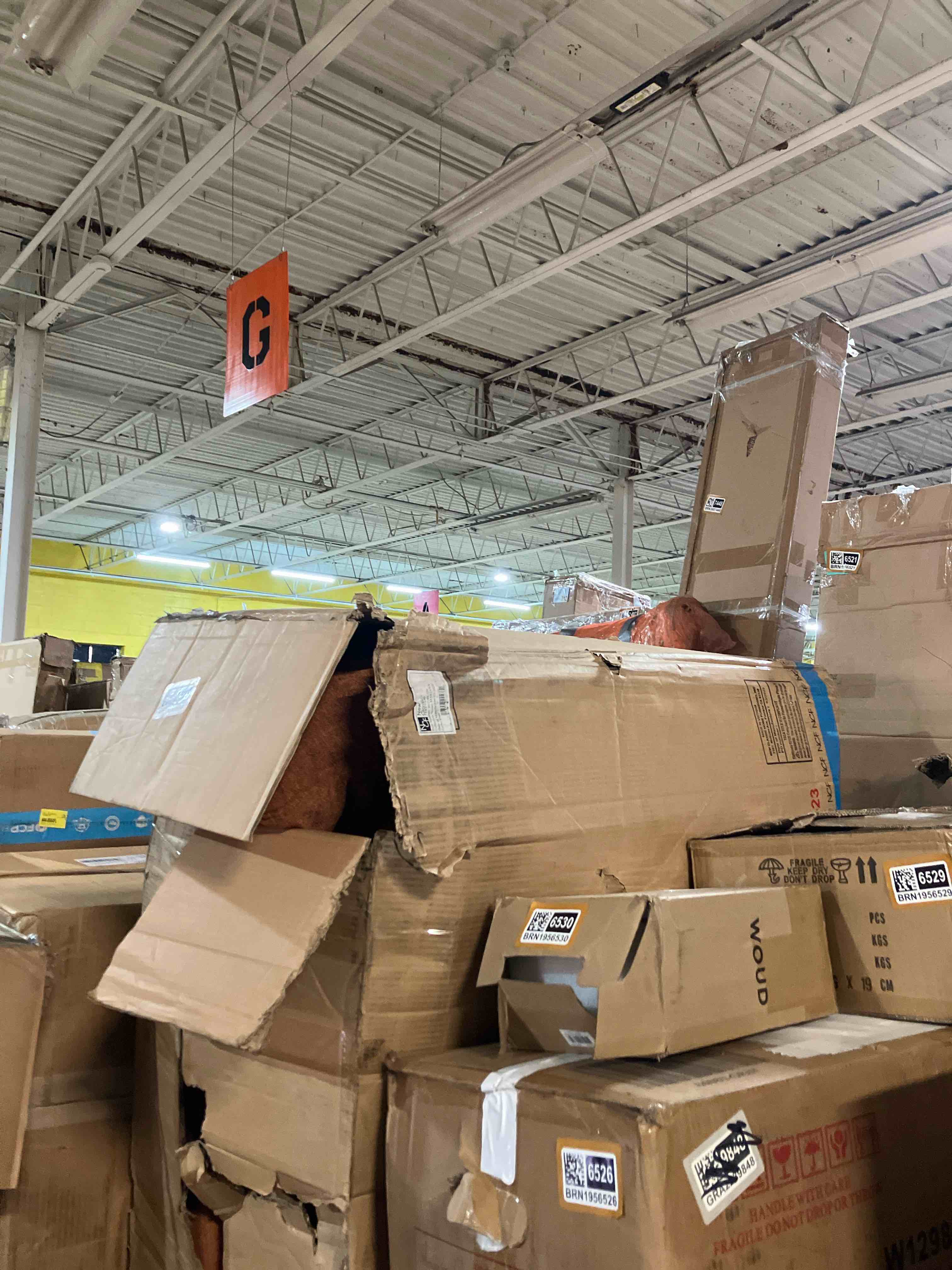 https://s3.amazonaws.com/lotting-images-prod/phillipi/BRN1956530_1759928929584.jpeg