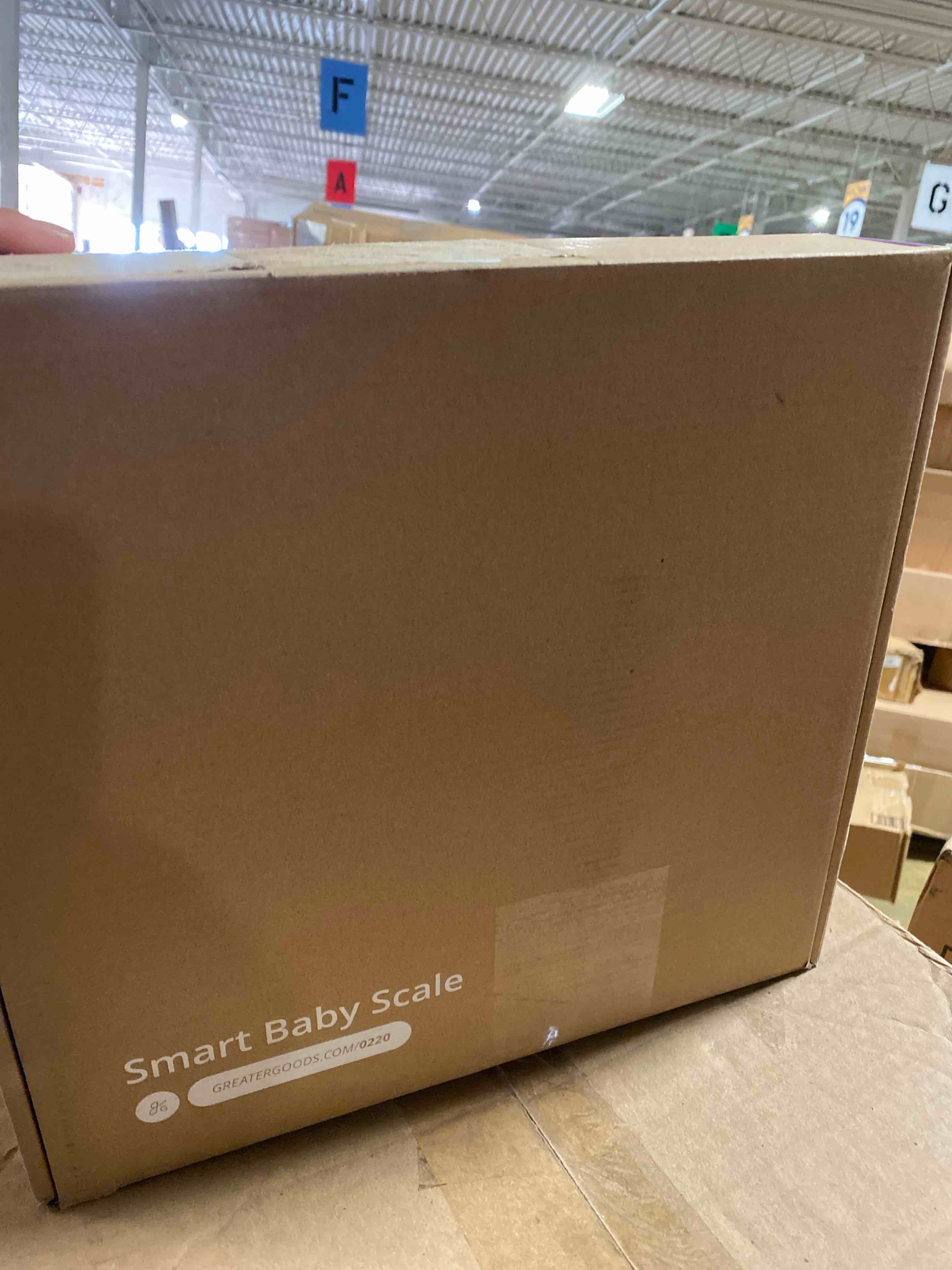https://s3.amazonaws.com/lotting-images-prod/phillipi/BRN1957734_1746818690743.jpeg