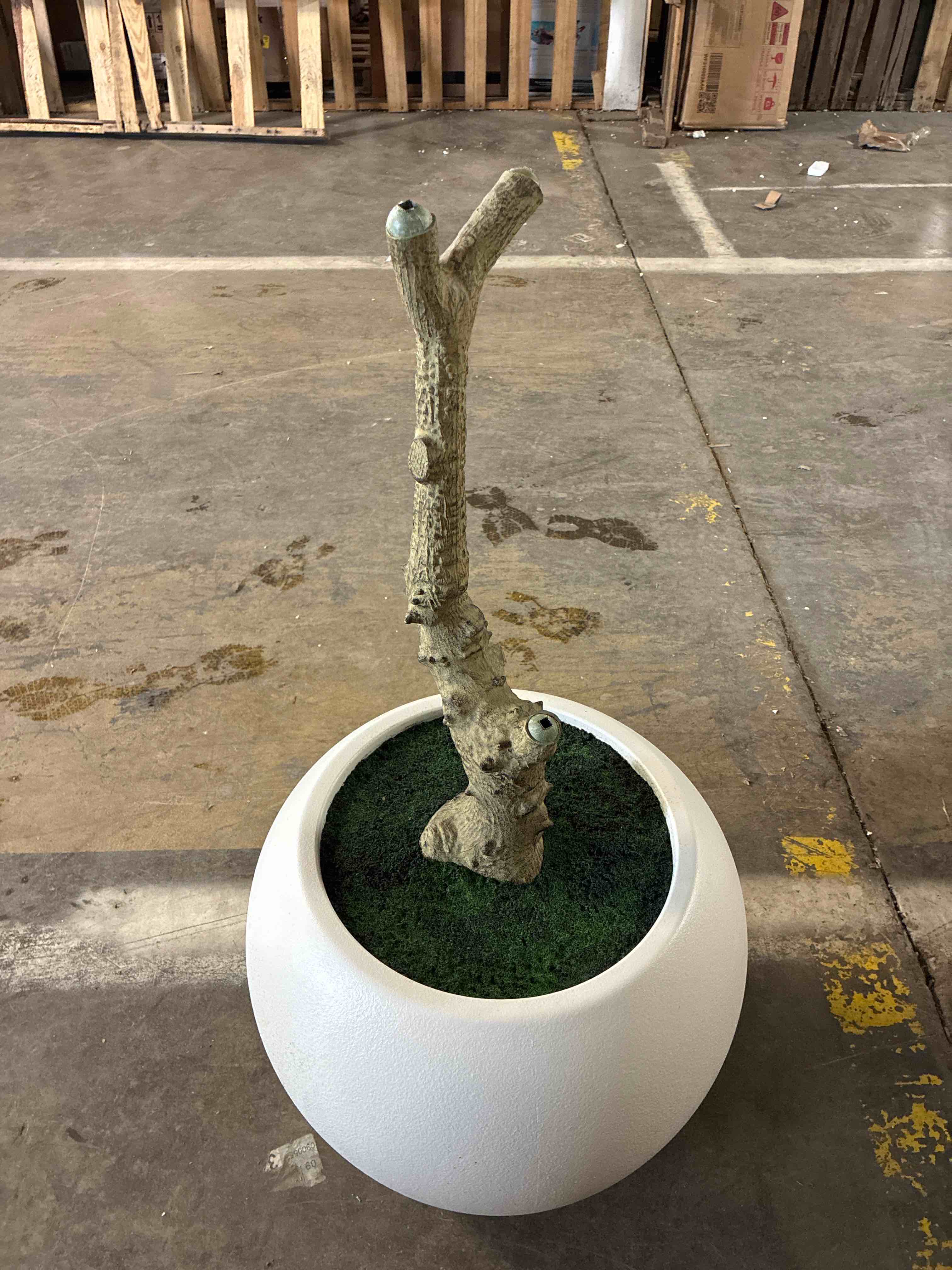 Condition photo showing New/Like New for Alvina 8ft Artificial Olive Tree with 18in Round White Planter for Indoor Use, Designed to assemble your way. 96'' H X 32'' W X 32'' D