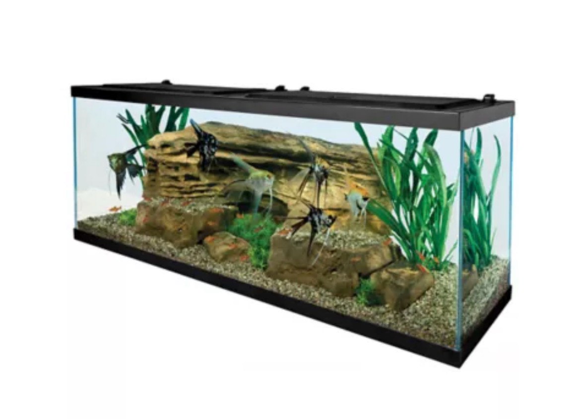 Condition photo showing New/Like New for Tetra® Open Glass Aquarium