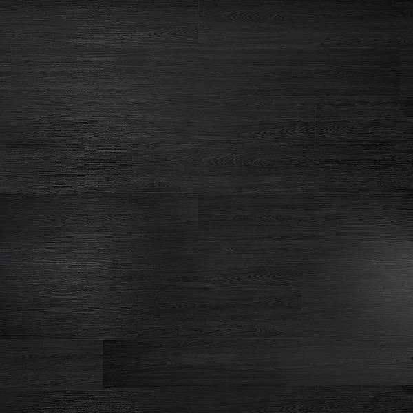 https://s3.amazonaws.com/lotting-images-prod/phillipi/BRN3594451_1776695599814.jpeg