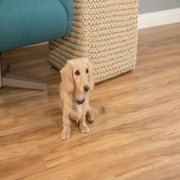 Parterre English Elm Blonde Wood Grain Luxury Vinyl Flooring. 324 Sq/Ft Total