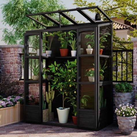 Condition photo showing New/Like New for 78" wooden greenhouse cold frame with 4 independent skylights and 2 folding middle shelves, walk-in outdoor greenhouse, black - modernluxe. 57.9"l × 29.1"w × 78.1"h