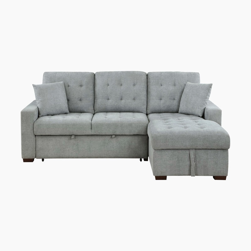 Eleen 2-Piece Sectional Sofa Sleeper with Hidden Storage by Ebern Designs 
