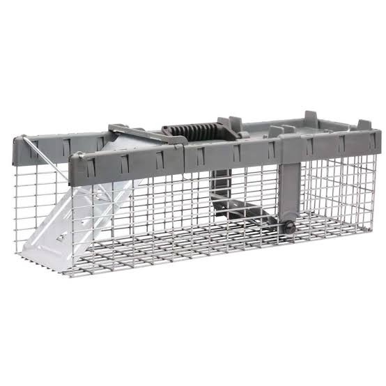 Small 1-Door Humane Catch-and-Release Live Animal Cage Trap for Squirrel, Weasel, Chipmunk
