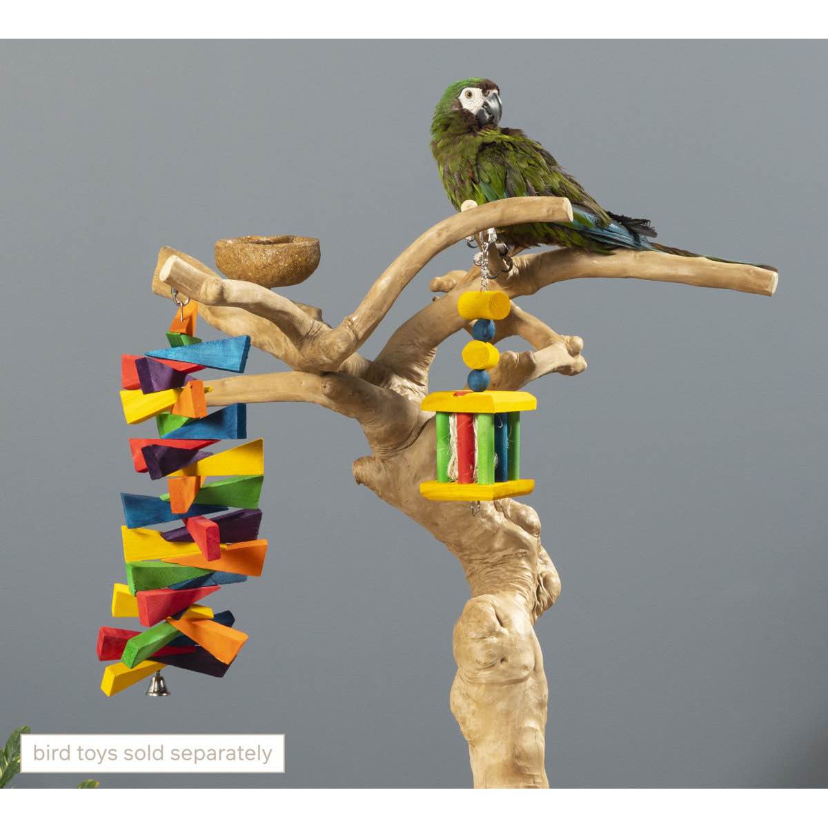 Condition photo showing Good Condition for one of a kind java wood bird perch, 49” x 29” base with castors (small branches broken, pictured)