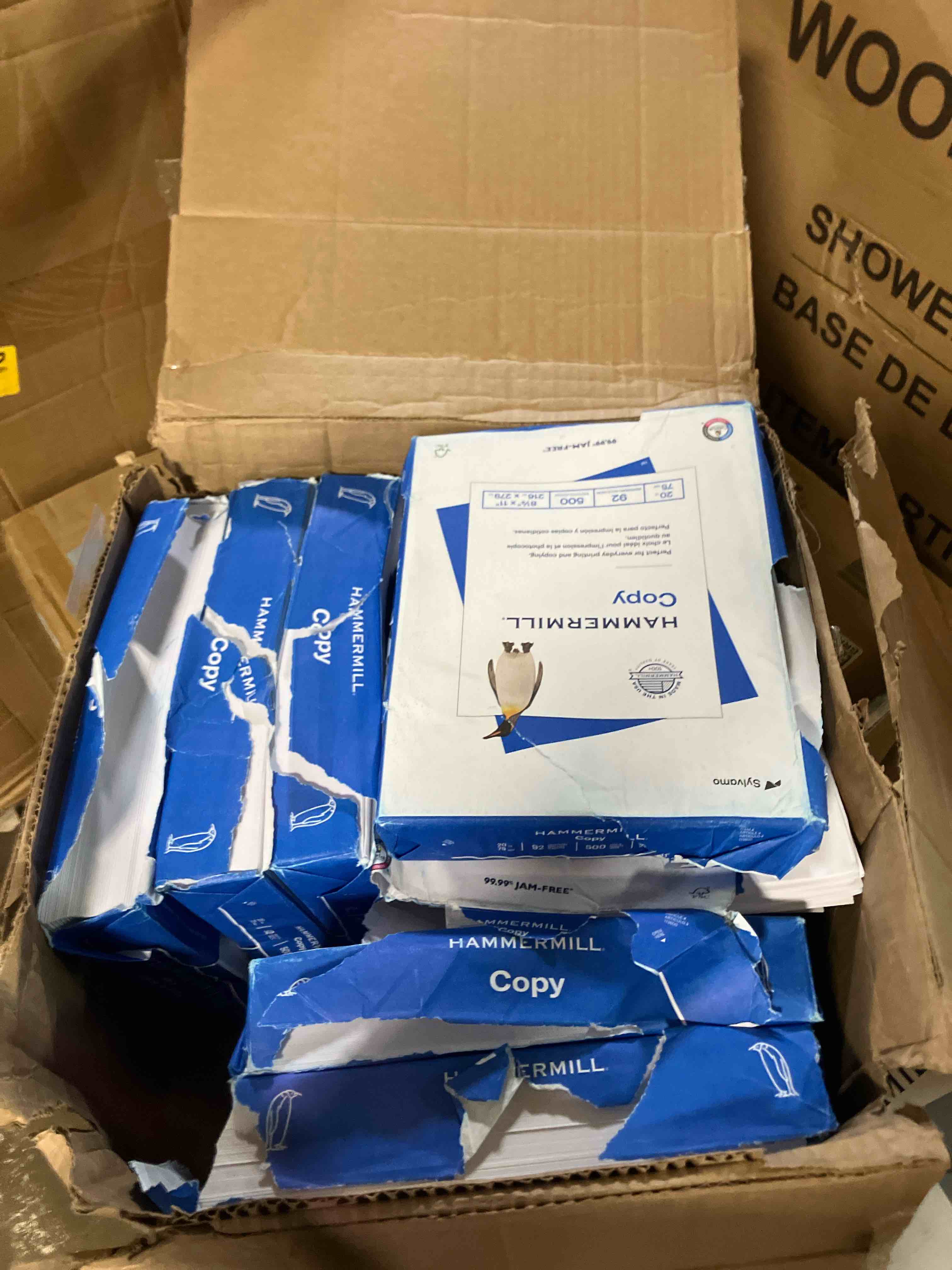 https://s3.amazonaws.com/lotting-images-prod/phillipi/BRN3607546_1759935270157.jpeg