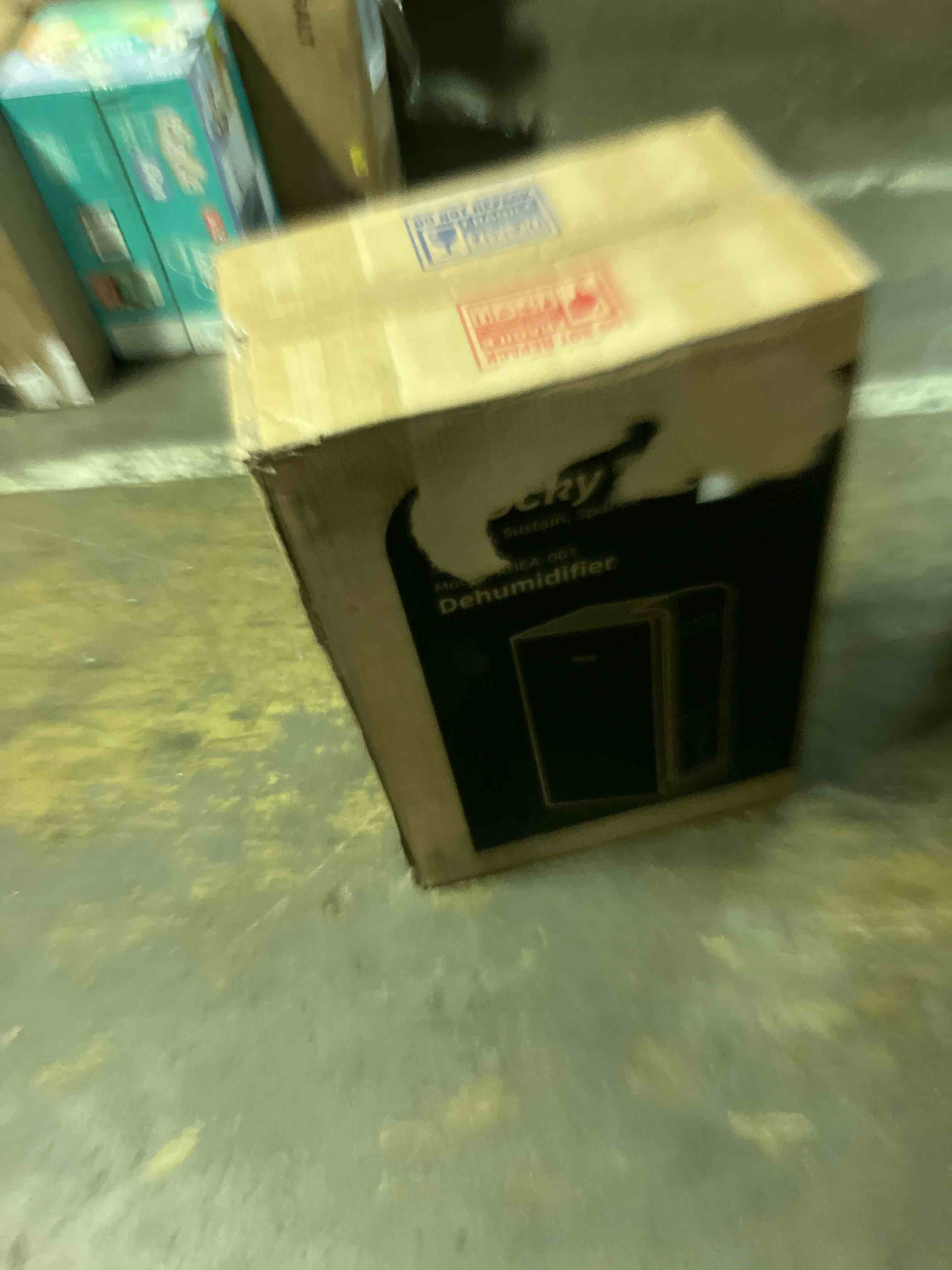 https://s3.amazonaws.com/lotting-images-prod/phillipi/BRN3607800_1760124795708.jpeg