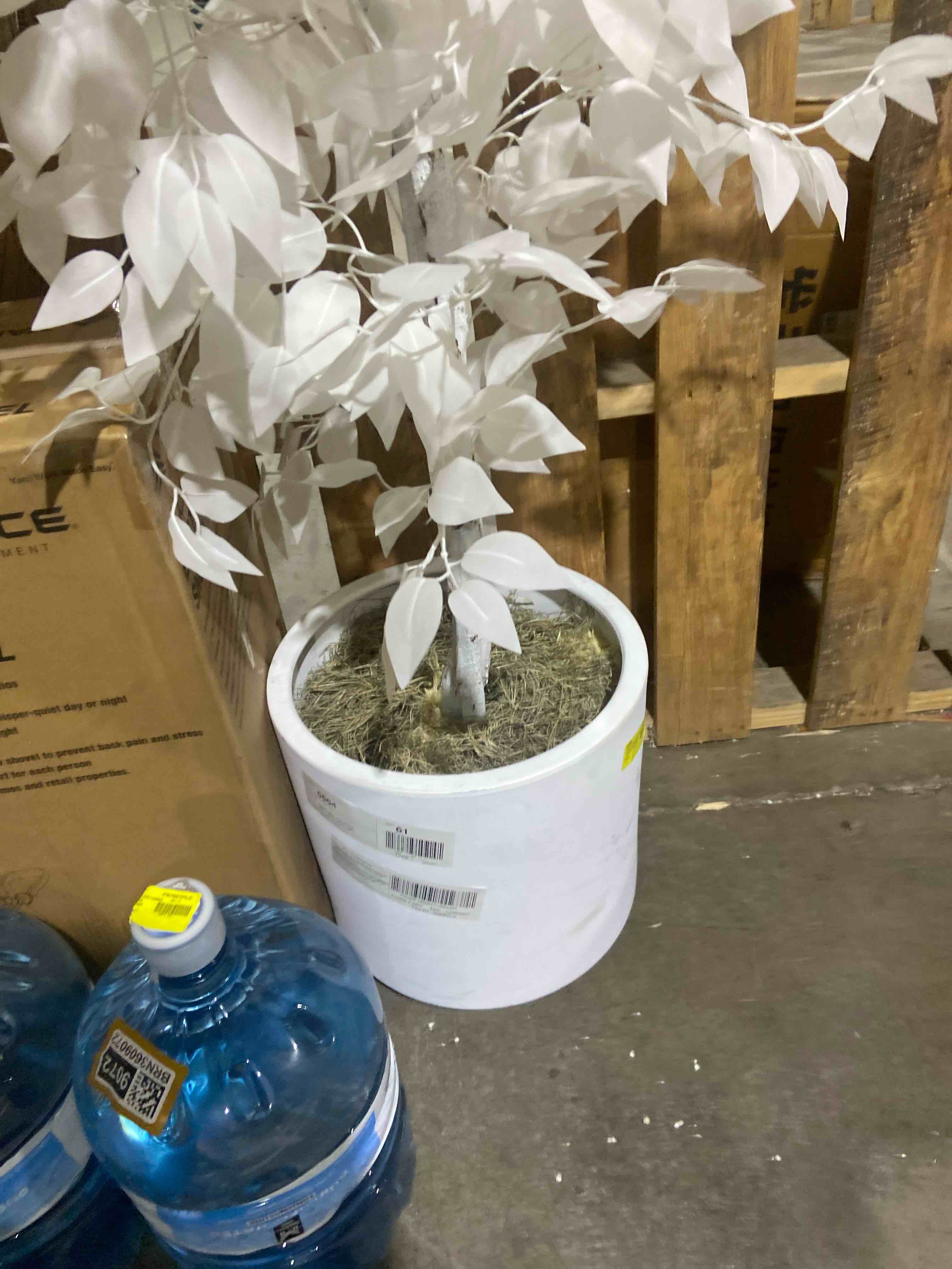 Condition photo showing New/Like New for Faux 72" White Ficus in White Handwoven Basket.  white pot.  as shown in pictures 