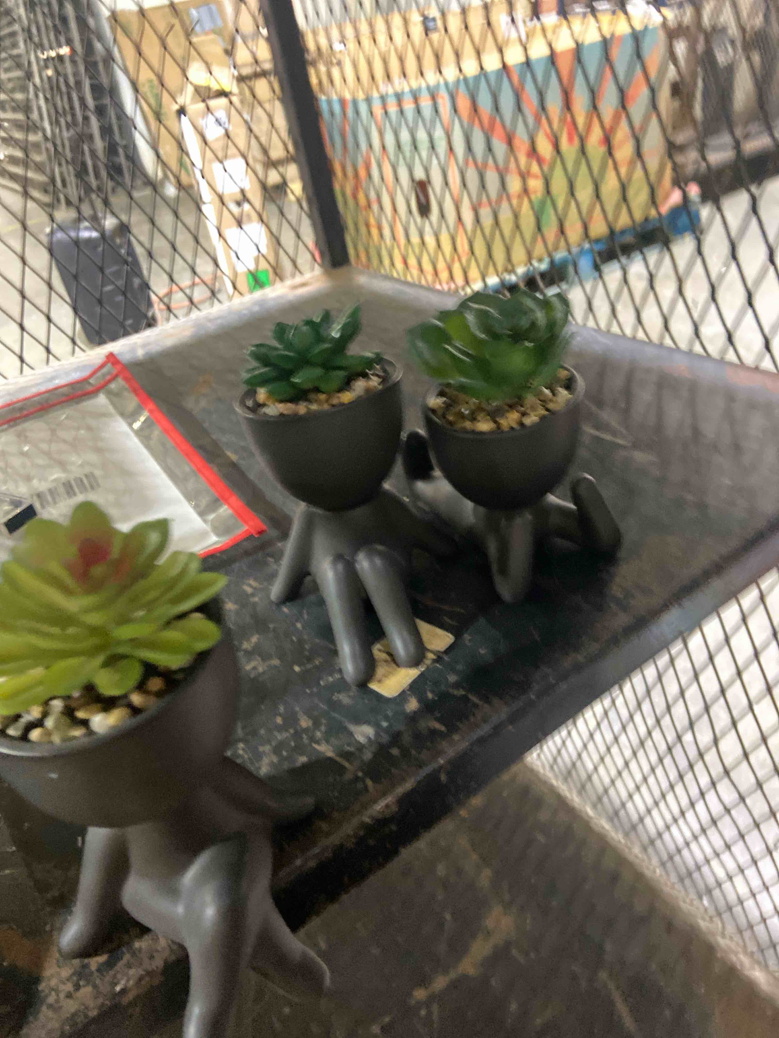 Condition photo showing New/Like New for Zerzsy 3 PCS Cute Artificial Succulent Plants with Creative Human Shaped Pots, Mini Potted Succulents Decor for Home Decor (Matte Black)