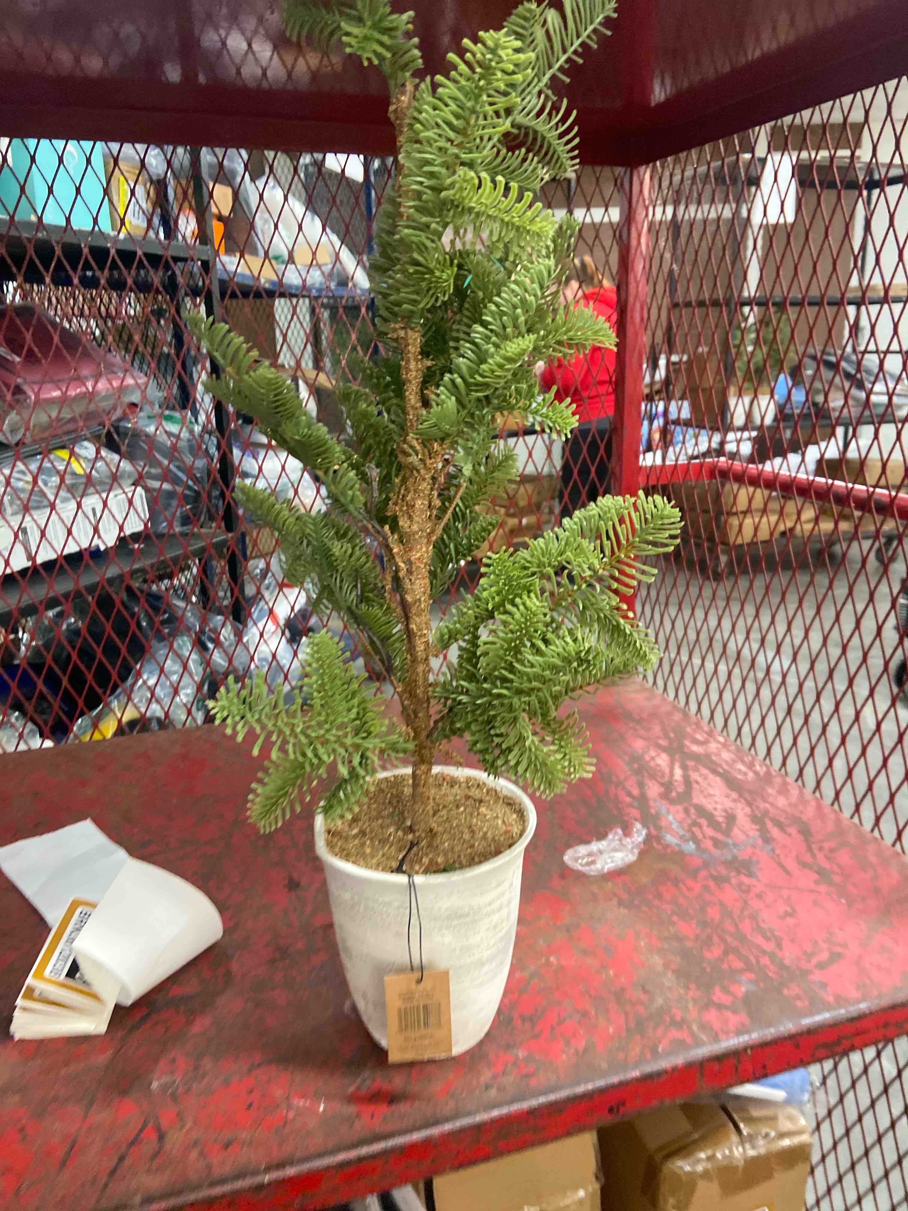 creative co-op inc 25.5" faux pine tree in pot