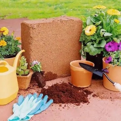 back to the roots organic coir, 51 quart expanding soil, great for seeds and potting