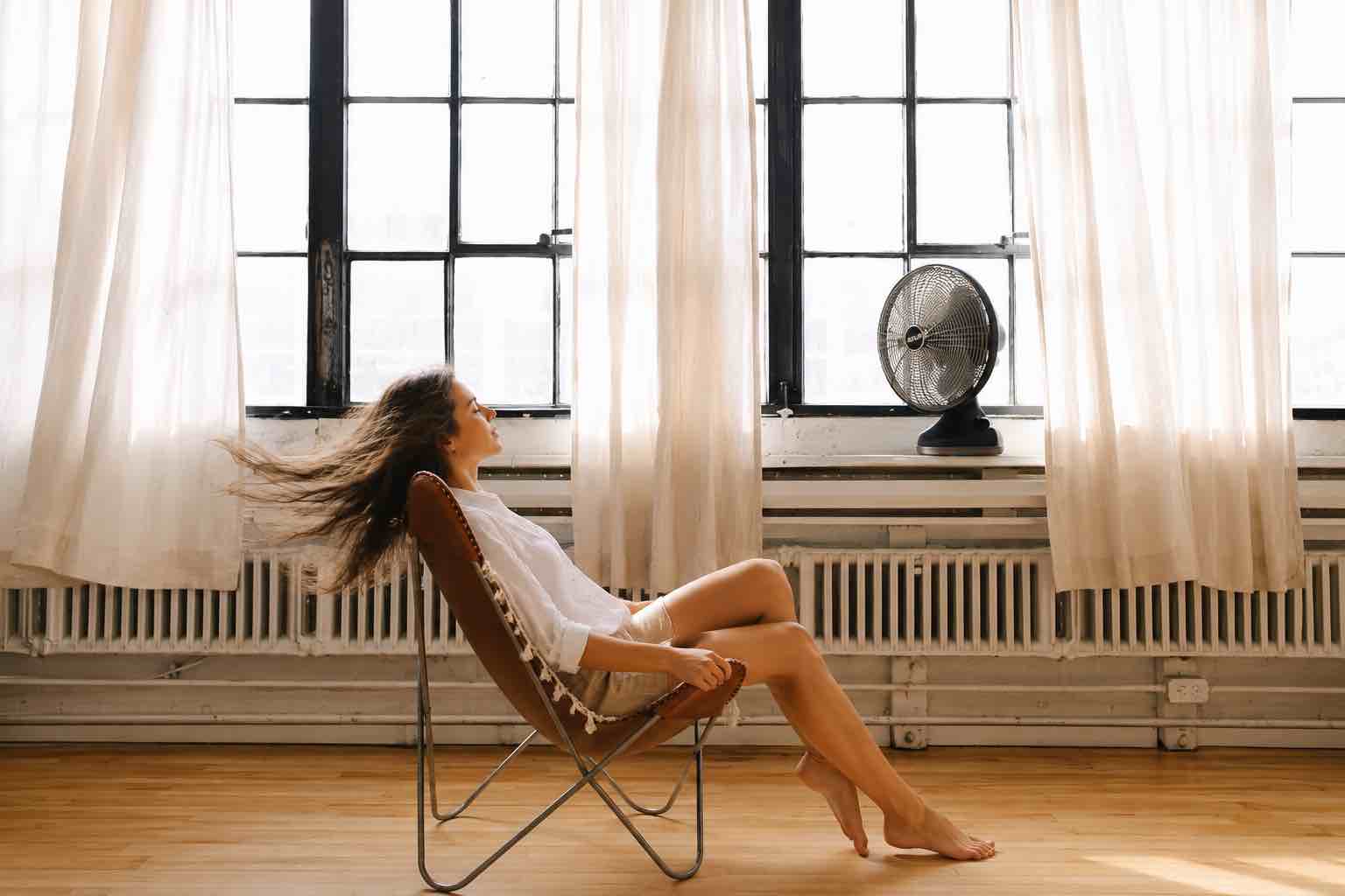 vornado silver swan alchemy oscillating vintage fan, gunmetal, medium