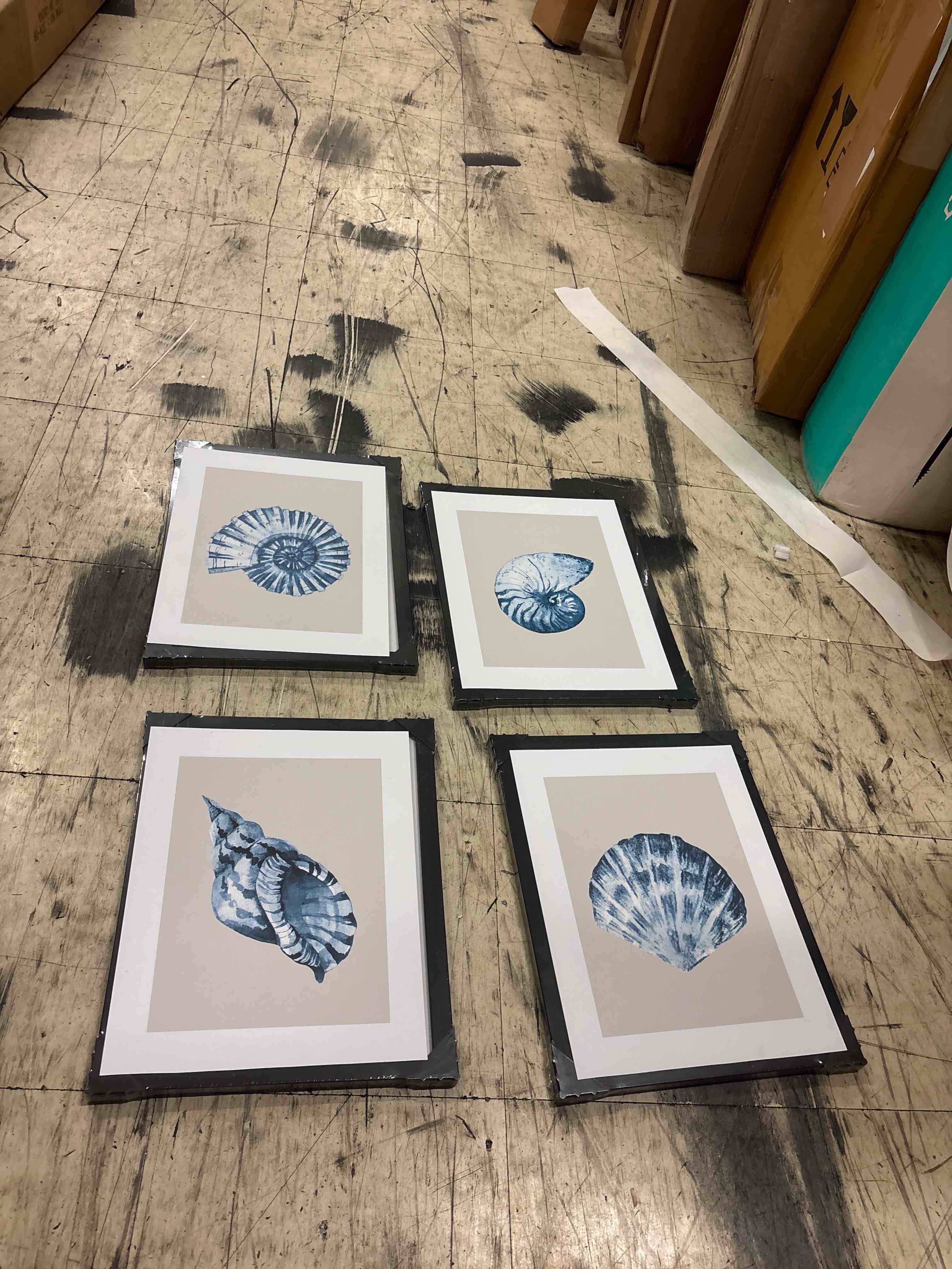 Condition photo showing New/Like New for marmont hill blue sea shells quadriptych