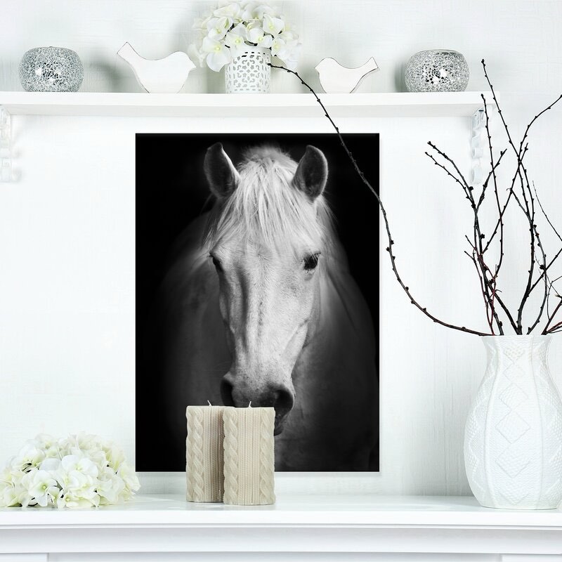 " White Horse Black And White "