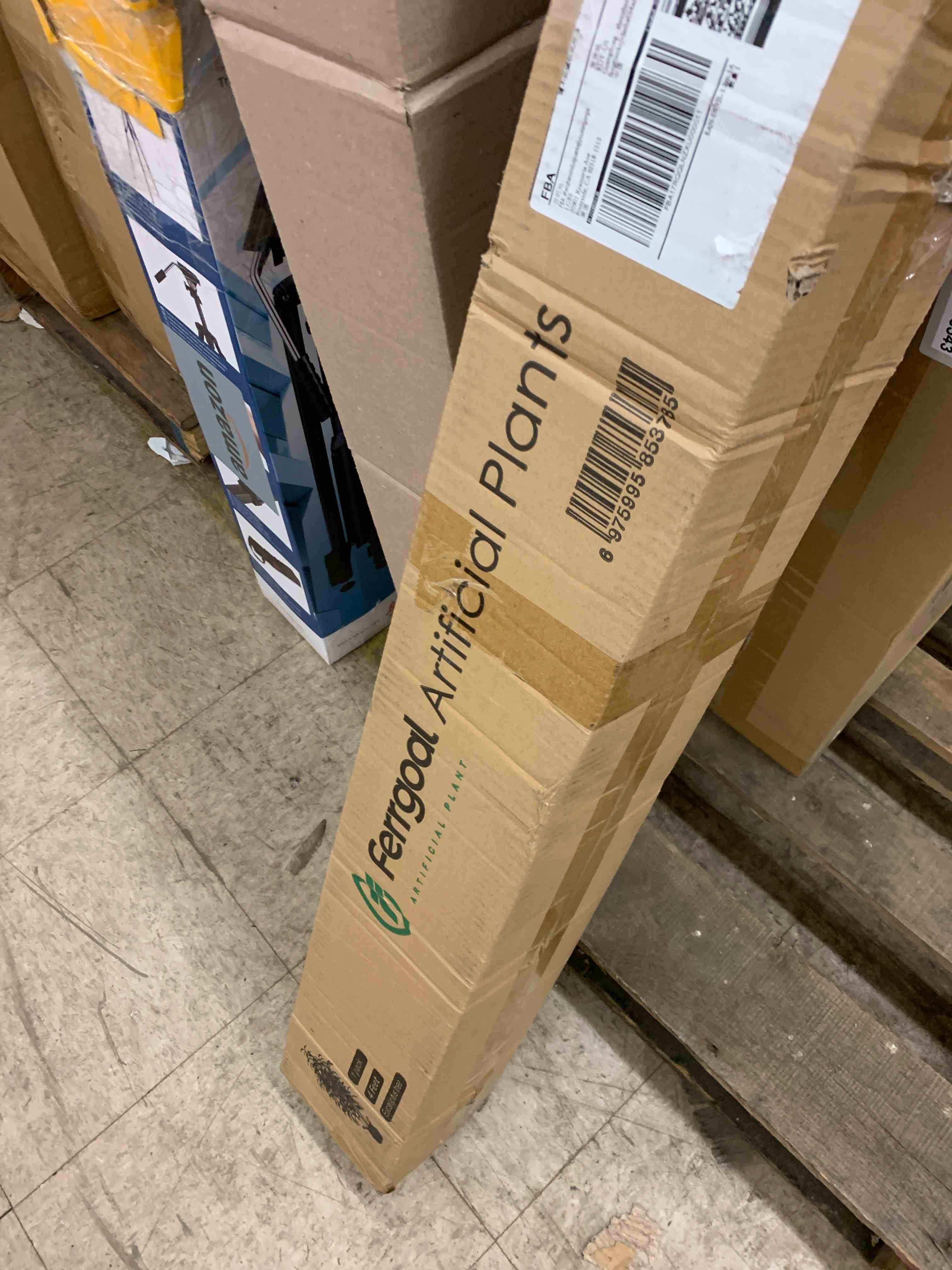 https://s3.amazonaws.com/lotting-images-prod/phillipi/GRA0358542_1742501869370.jpeg