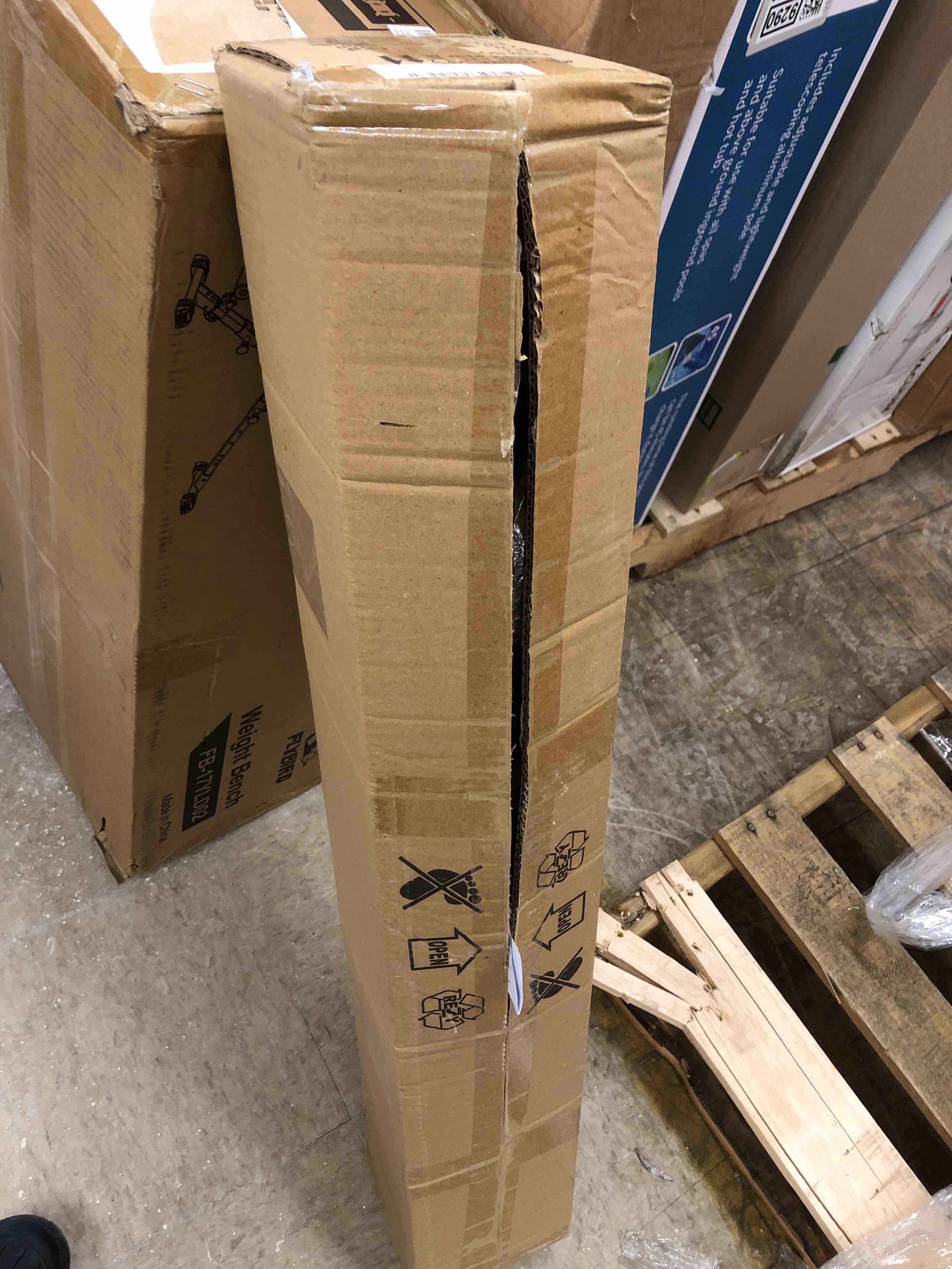 https://s3.amazonaws.com/lotting-images-prod/phillipi/GRA0359288_1739893884747.jpeg