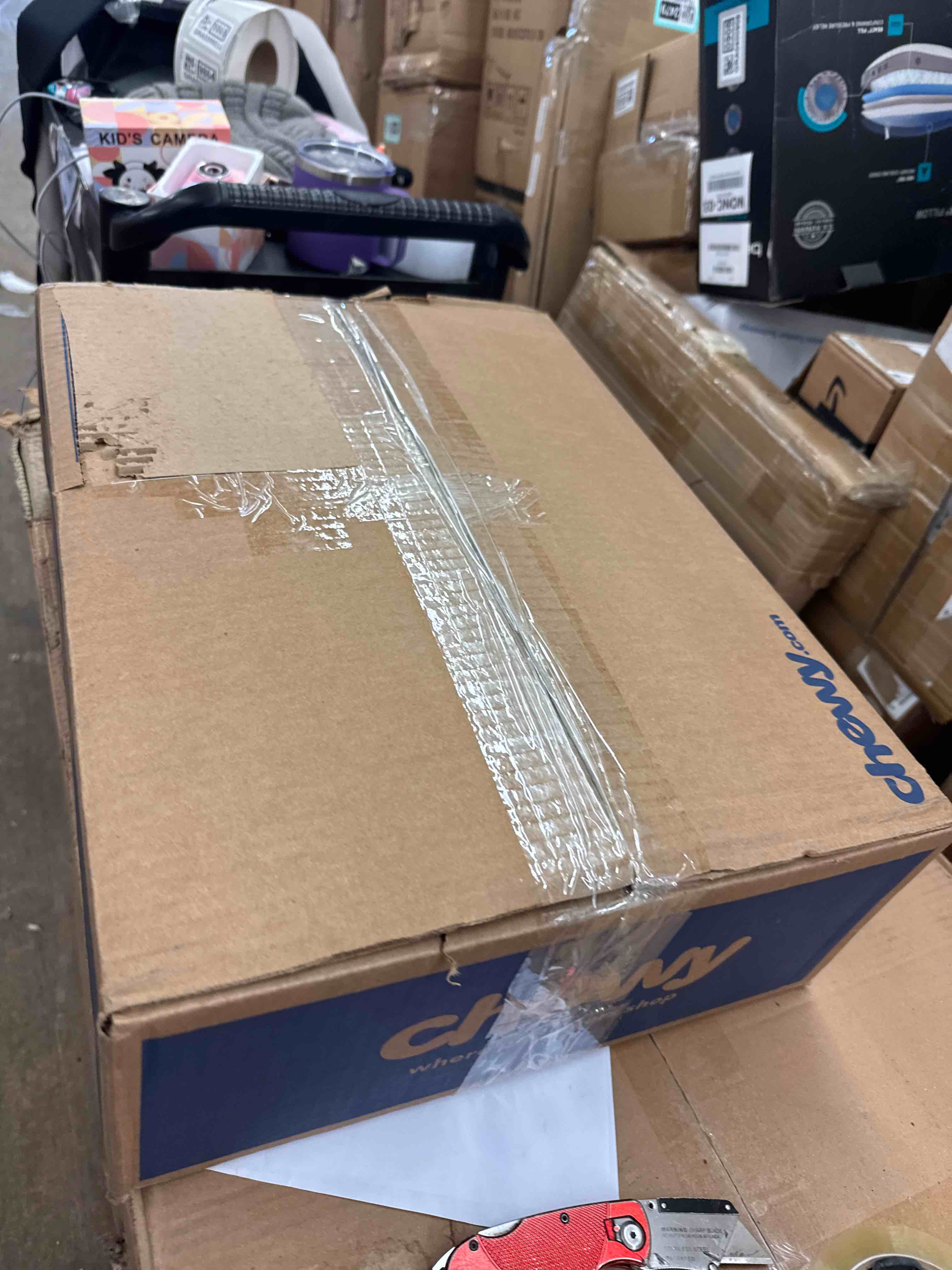 https://s3.amazonaws.com/lotting-images-prod/phillipi/GRA0359865_1738694565547.jpeg