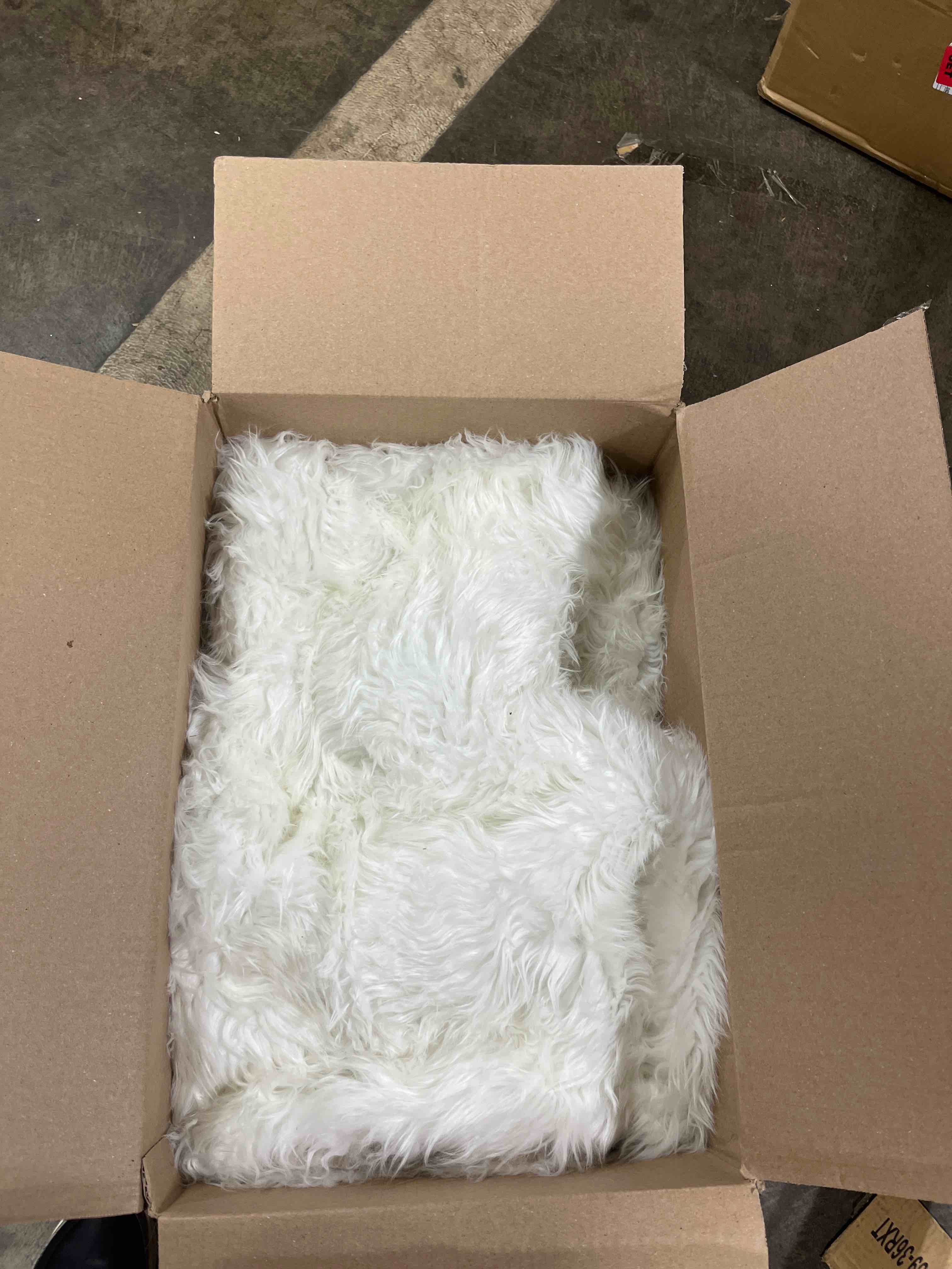 https://s3.amazonaws.com/lotting-images-prod/phillipi/GRA0362083_1758553957500.jpeg