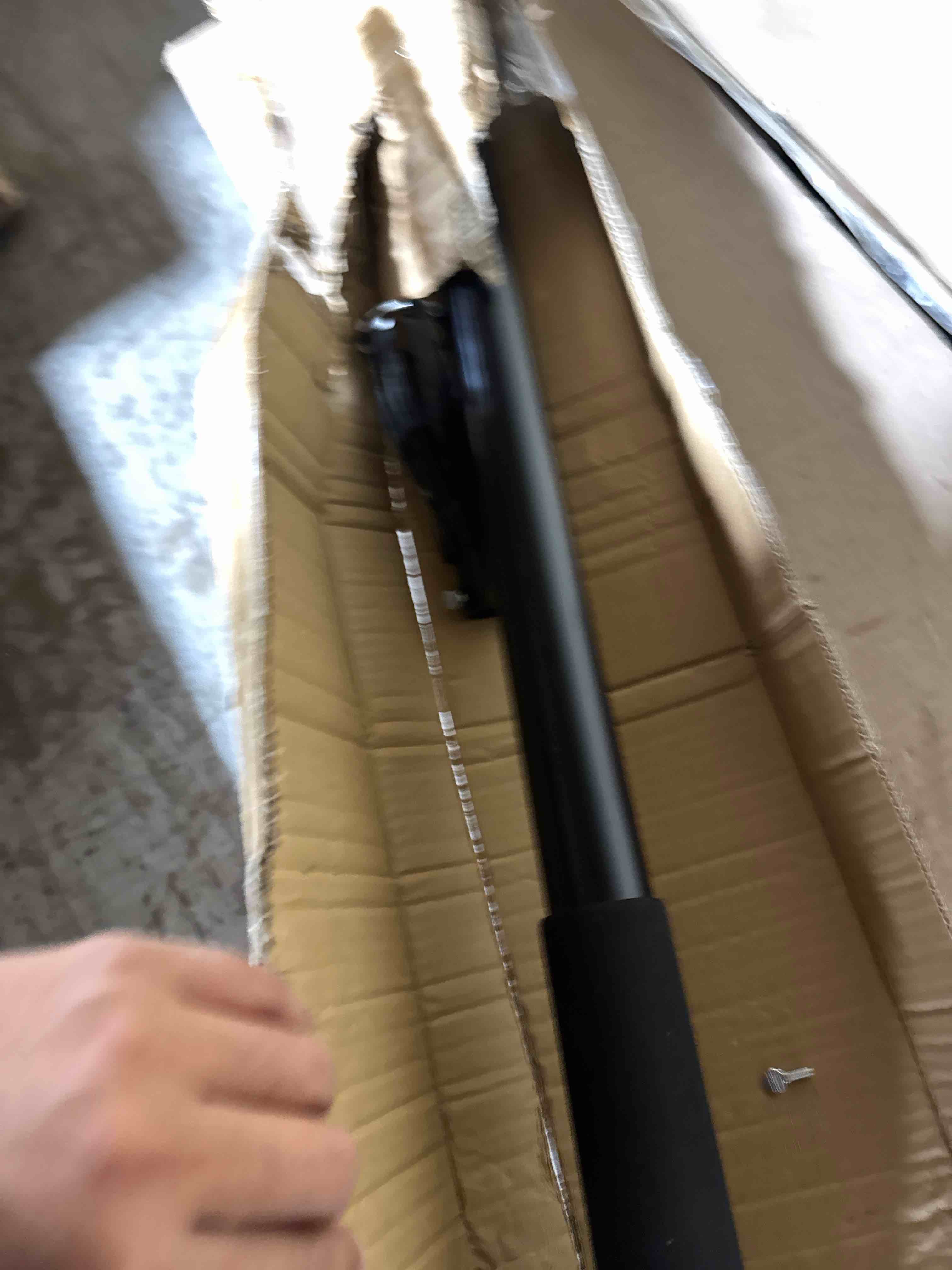 https://s3.amazonaws.com/lotting-images-prod/phillipi/GRA0364443_1756393731817.jpeg