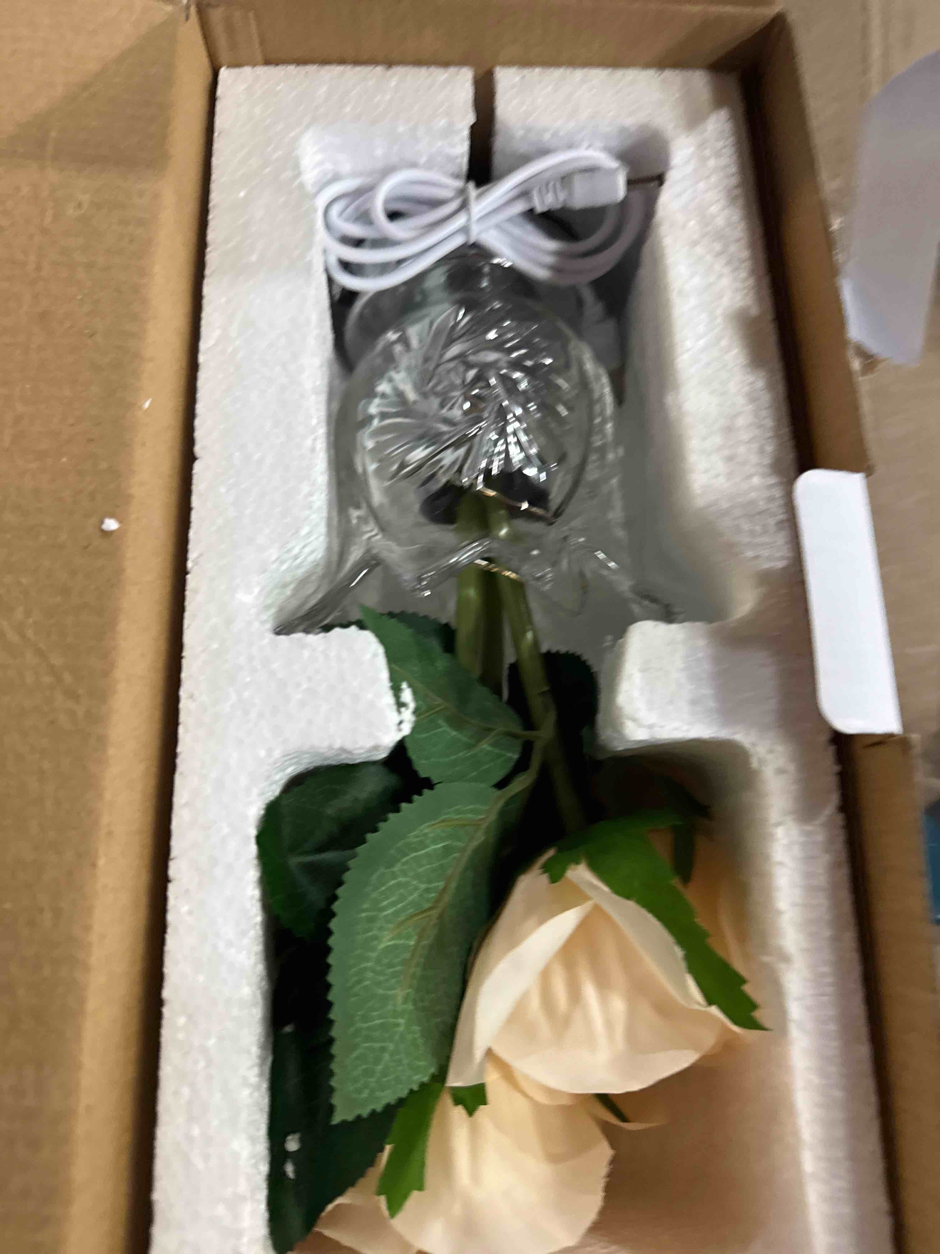 https://s3.amazonaws.com/lotting-images-prod/phillipi/GRA0364640_1755796590991.jpeg