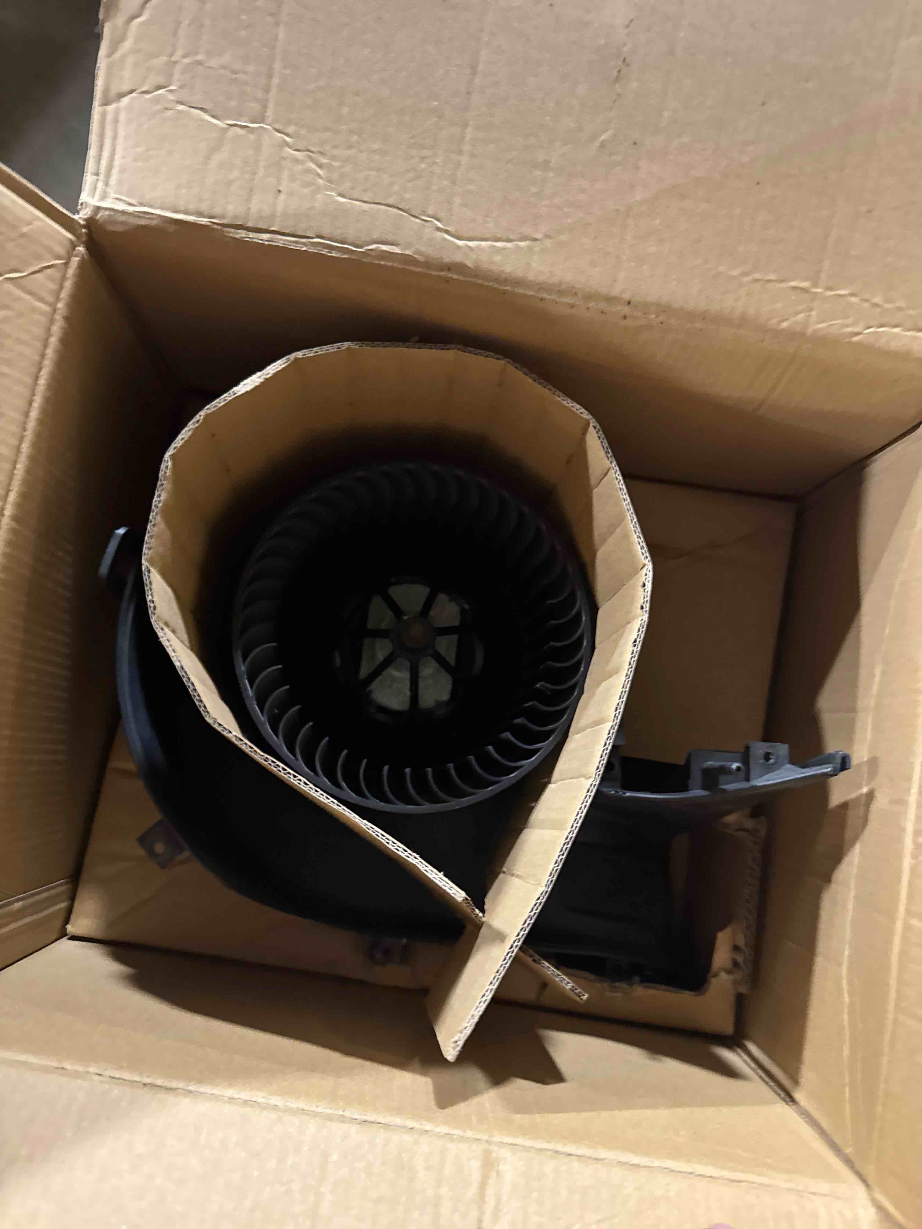 https://s3.amazonaws.com/lotting-images-prod/phillipi/GRA0364884_1755265577796.jpeg