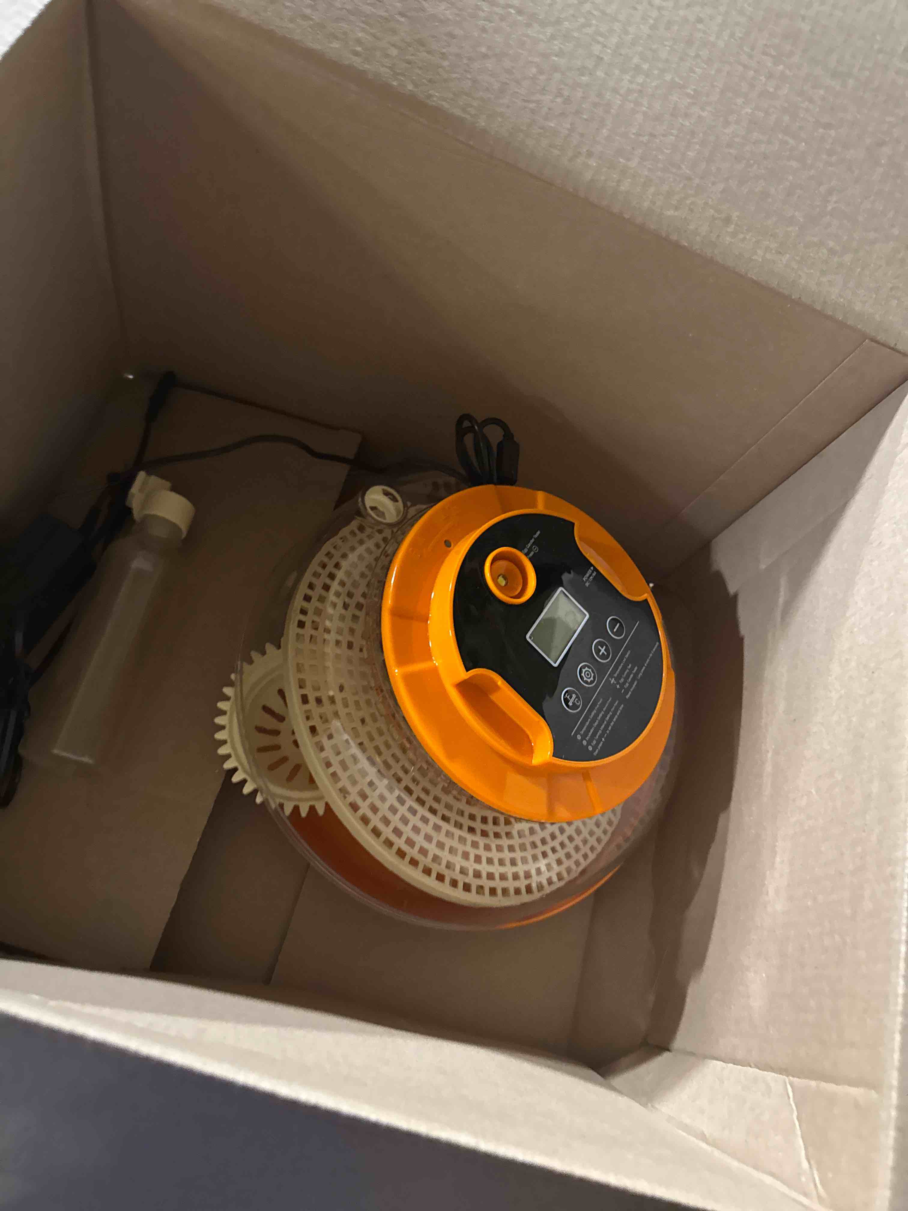 https://s3.amazonaws.com/lotting-images-prod/phillipi/GRA0364888_1755264989056.jpeg
