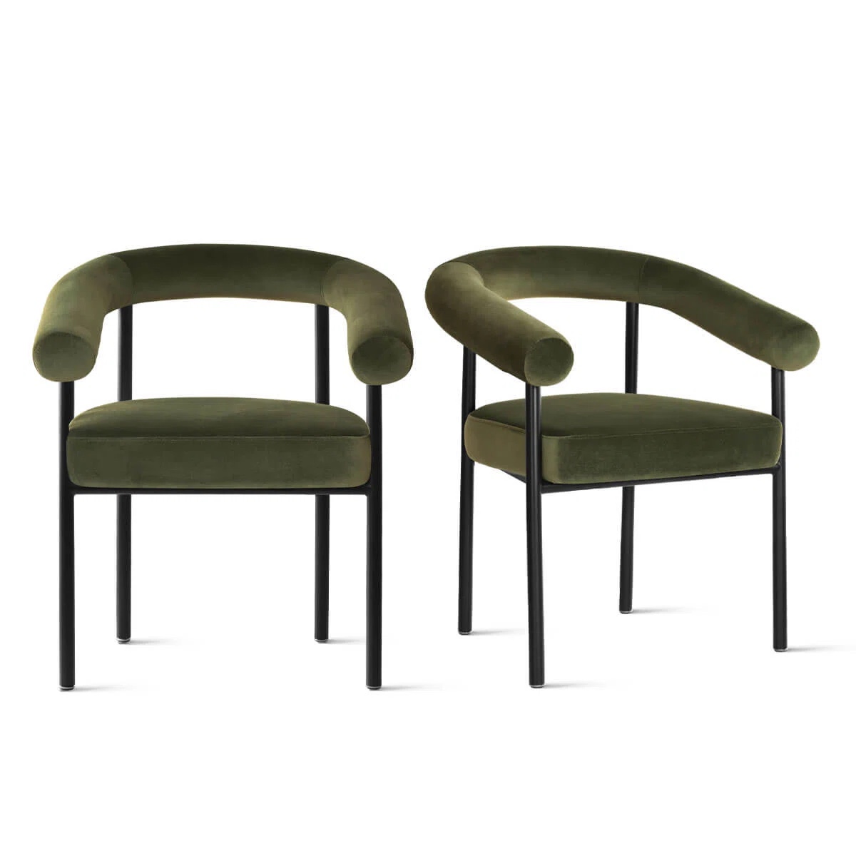 Set of 2 Dining Chairs (Set of 2)