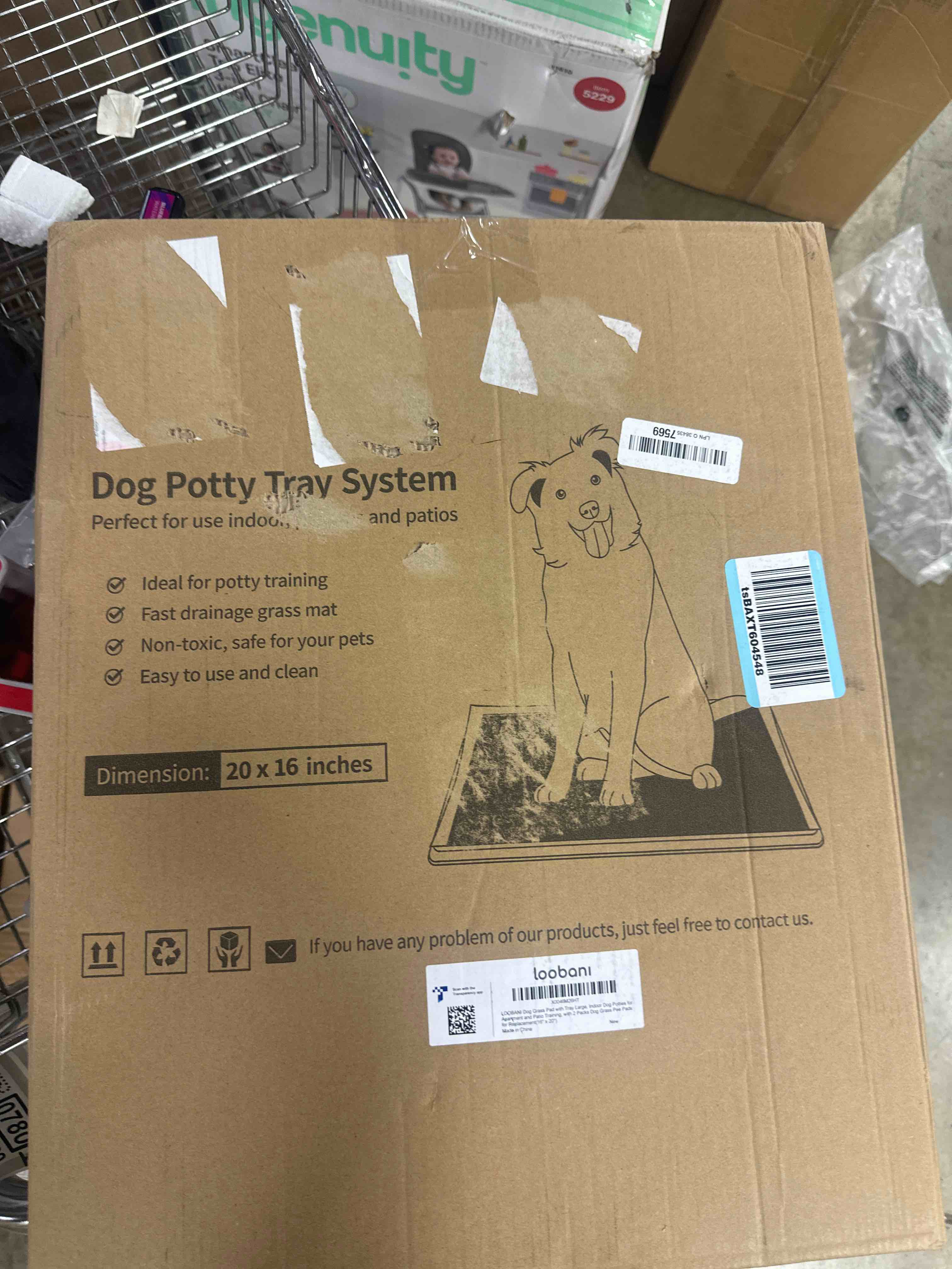 https://s3.amazonaws.com/lotting-images-prod/phillipi/GRA0370772_1759773787701.jpeg