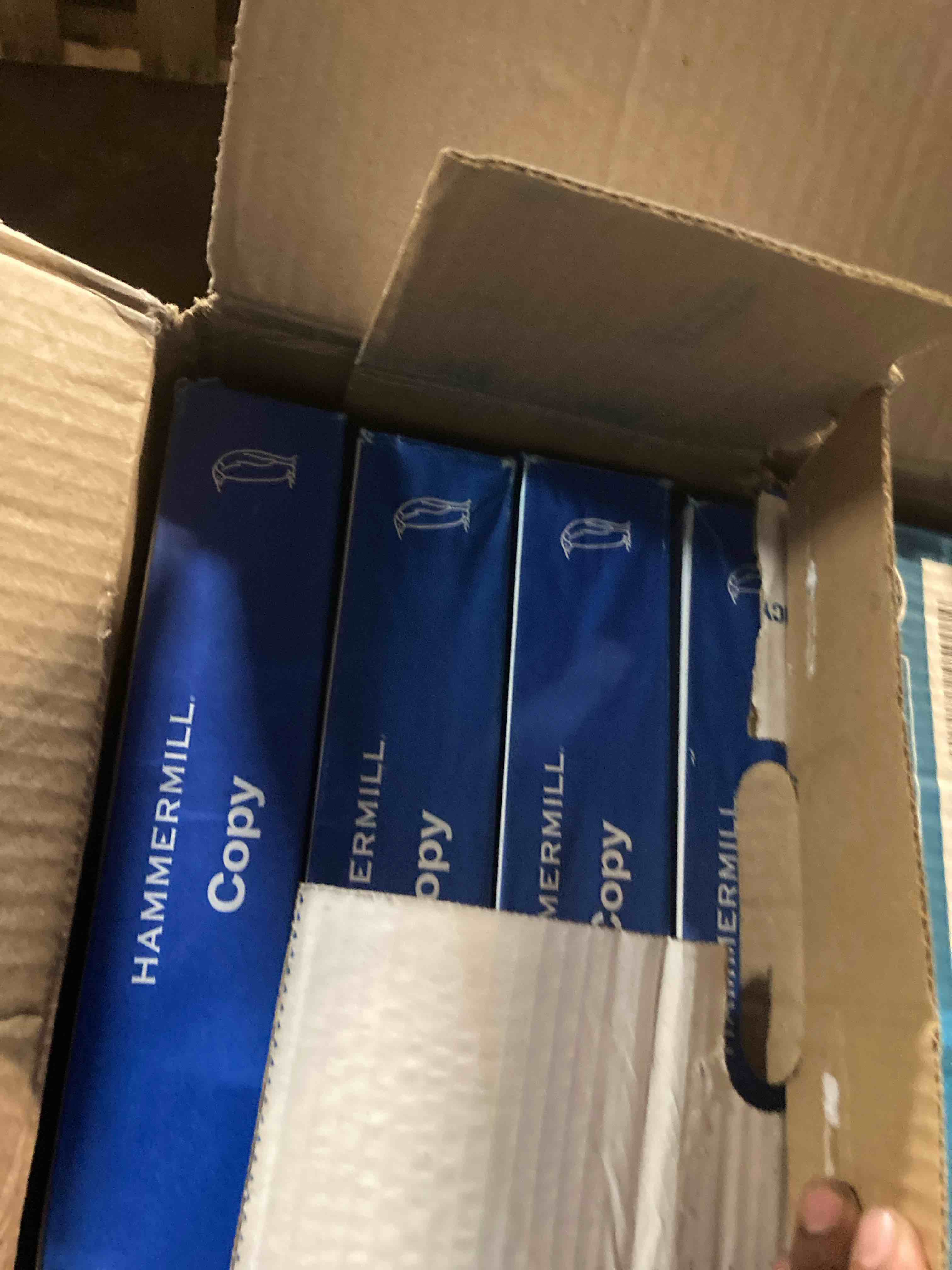 https://s3.amazonaws.com/lotting-images-prod/phillipi/GRA0370866_1759335286383.jpeg