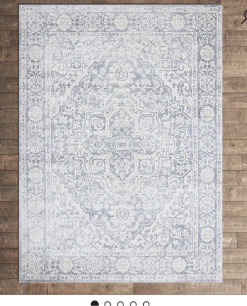 Amyrose Oriental Indoor Rug