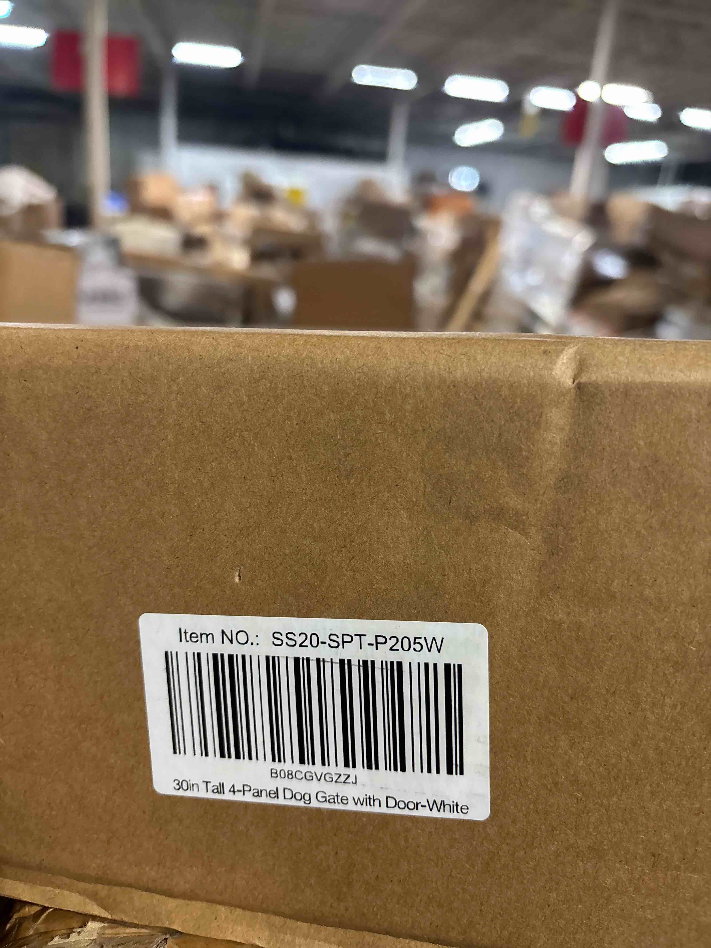 https://s3.amazonaws.com/lotting-images-prod/phillipi/GRA0373922_1742991336315.jpeg