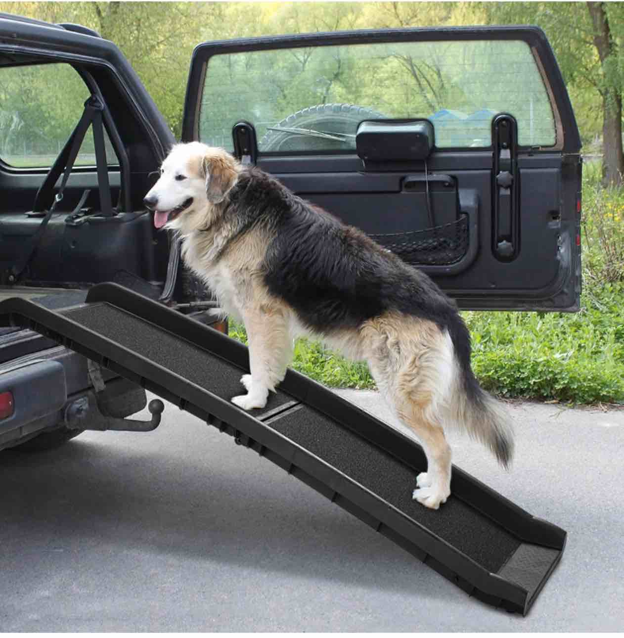 Discounted Madness!!!! (Smalls Security Cage)