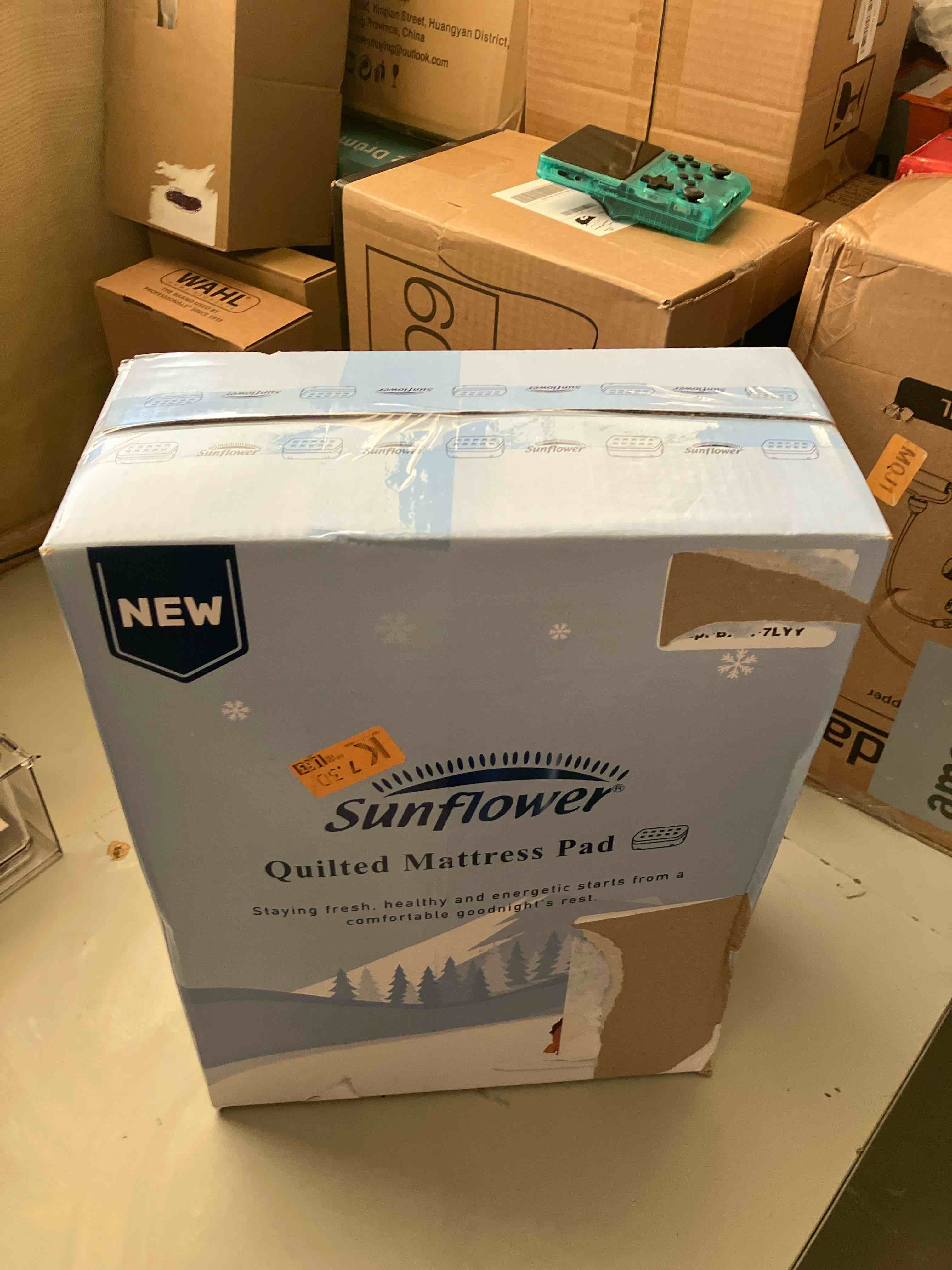 https://s3.amazonaws.com/lotting-images-prod/phillipi/GRA0376438_1742989490600.jpeg