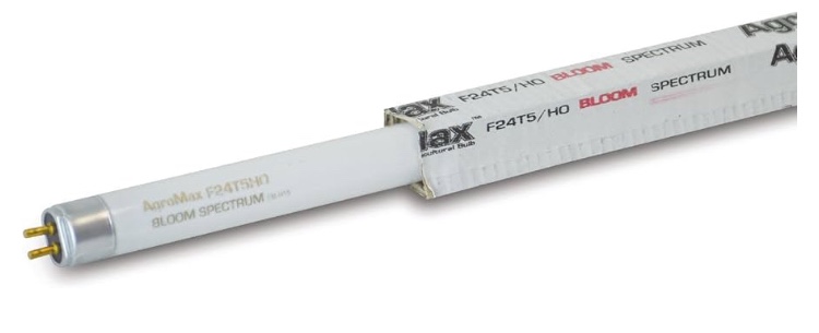Fluorescent lightbulb 