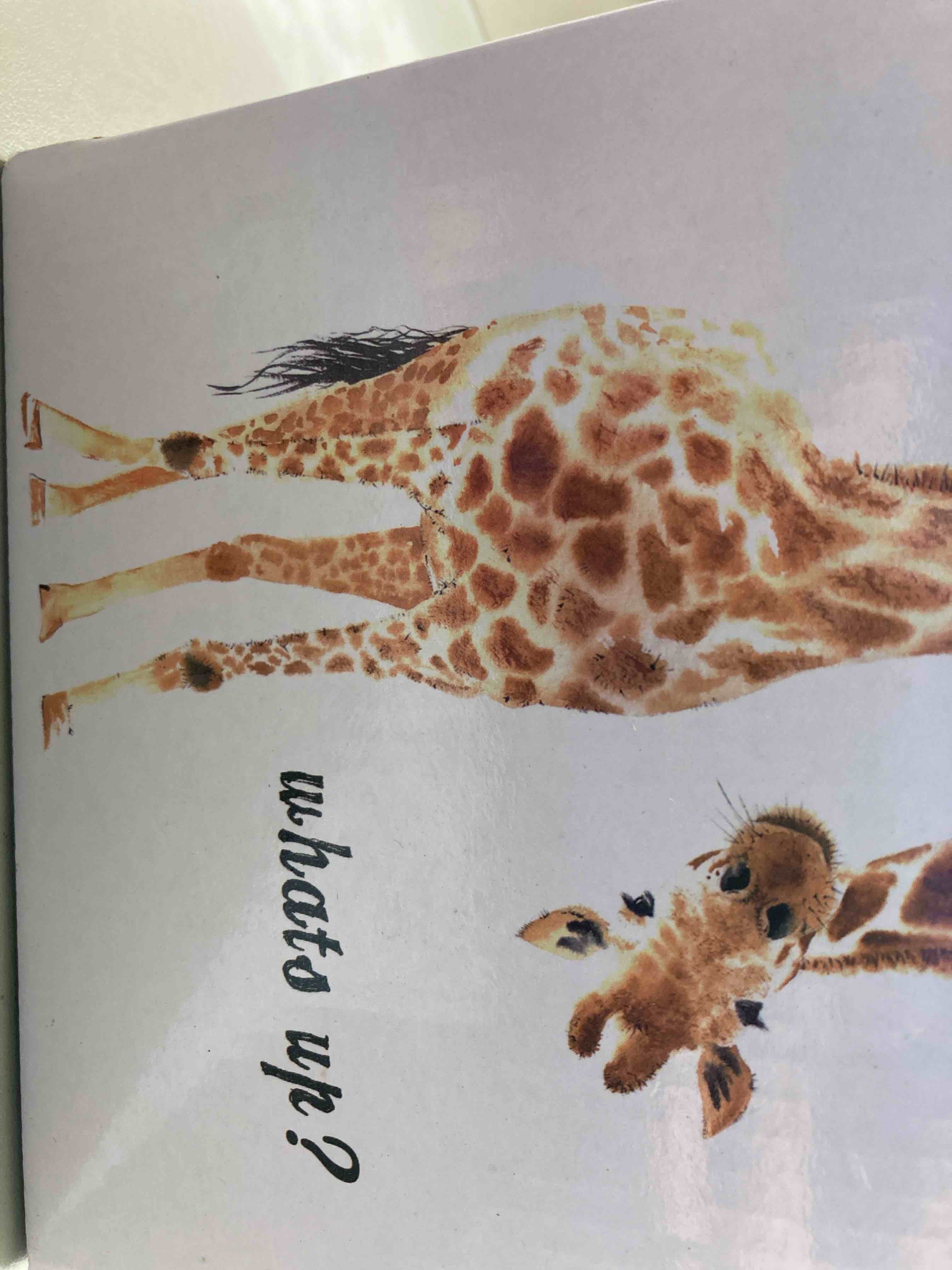 https://s3.amazonaws.com/lotting-images-prod/phillipi/GRA0386829_1752243151095.jpeg