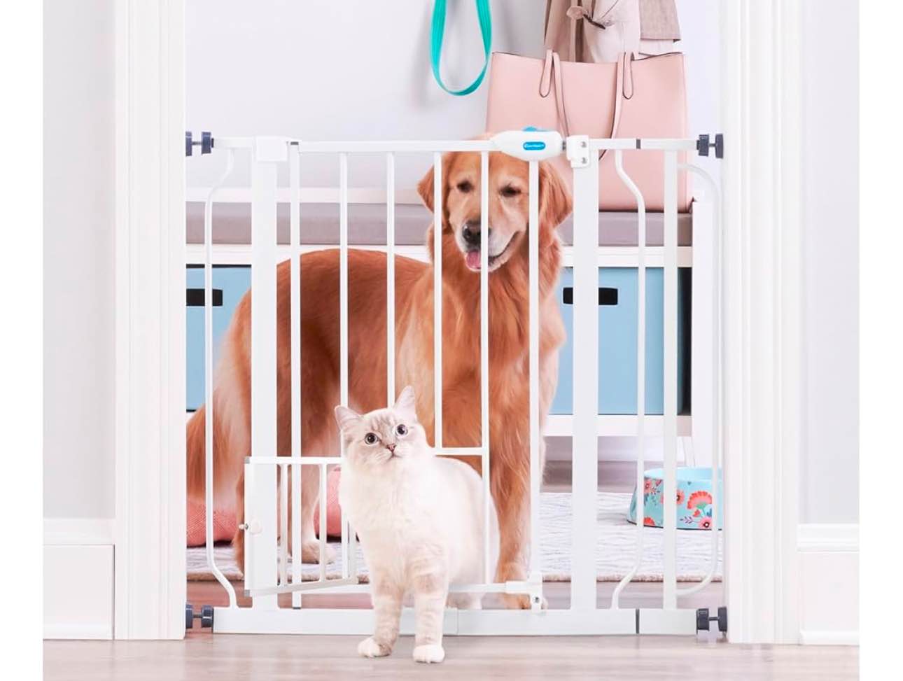 Carlson Extra Wide Walk Through Pet Gate with Small Pet Door, Includes 4-Inch Extension Kit, Pressure Mount Kit and Wall Mount Kit,White