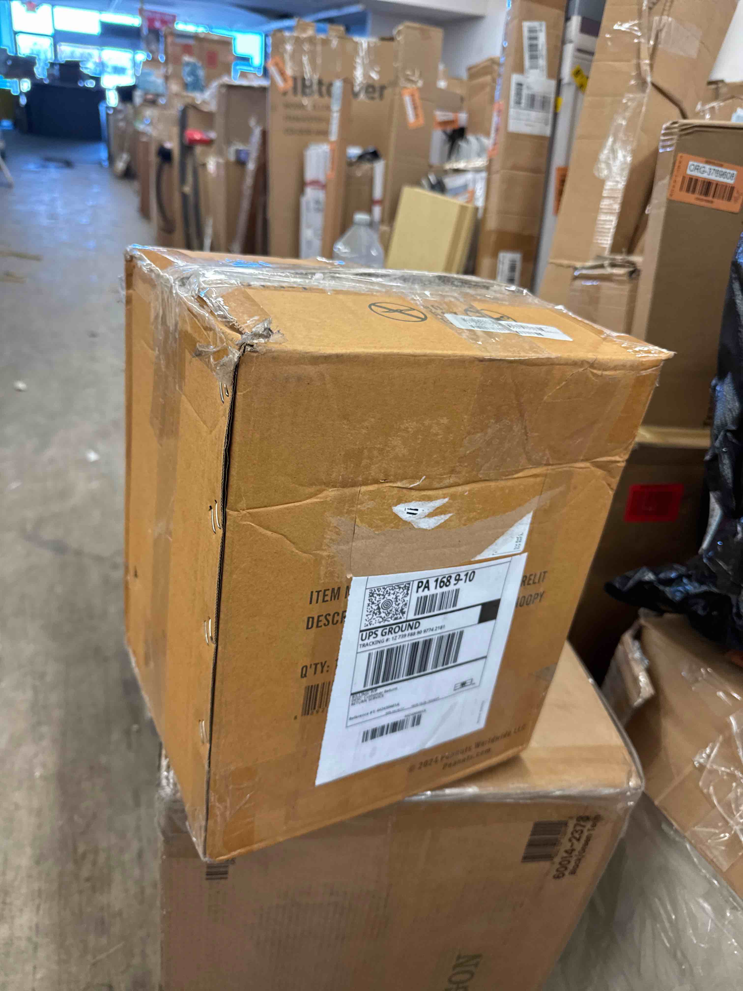 https://s3.amazonaws.com/lotting-images-prod/phillipi/GRA0397528_1732639769265.jpeg